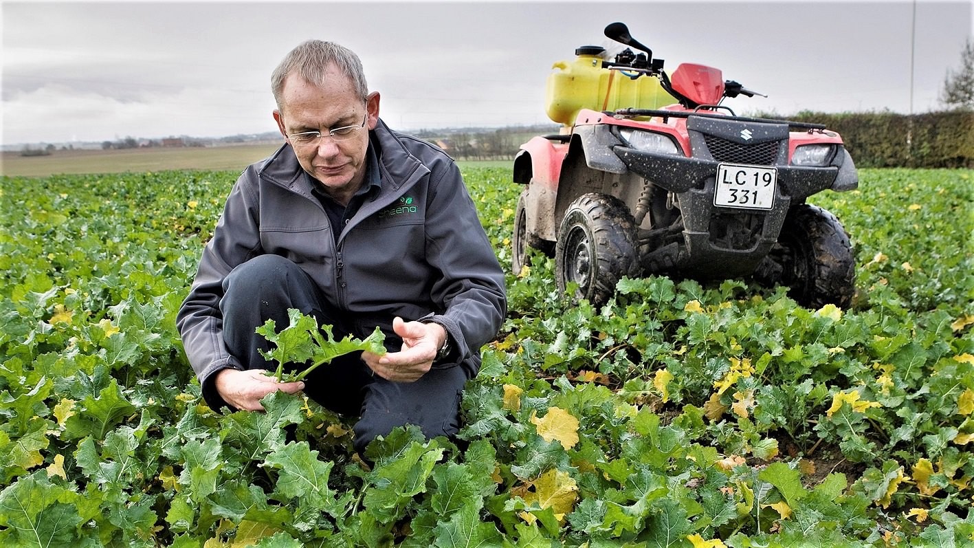 Martin Merrild sidder i marken og ser på en plante
