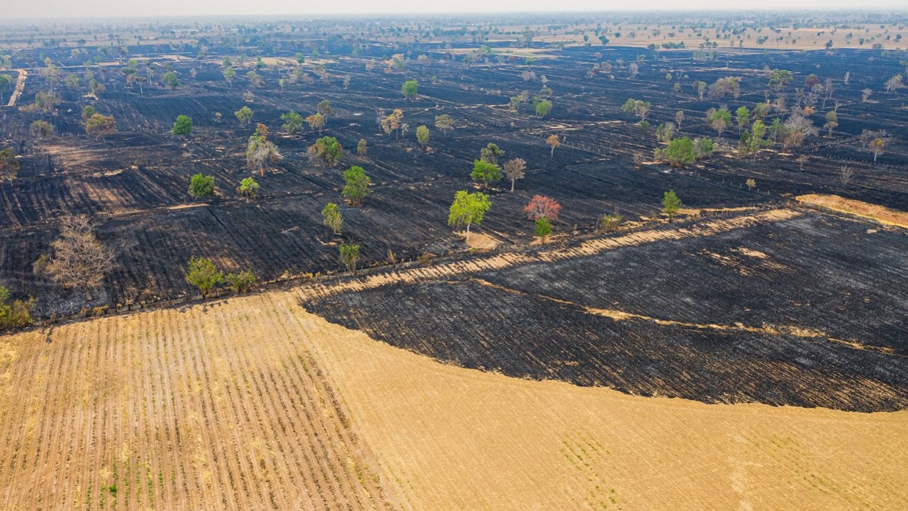 Et luftfoto af en rismark i brand