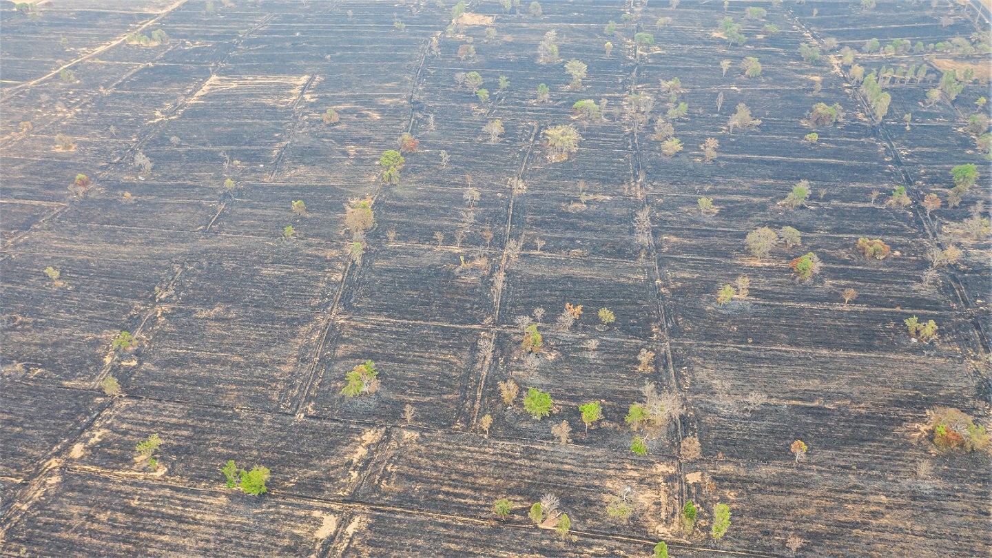 Et luftfoto af rismarker, der har været i brand
