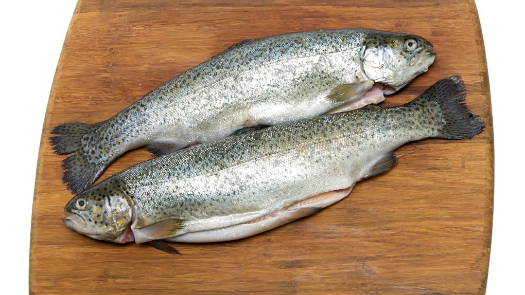 To ørreder på skærebræt