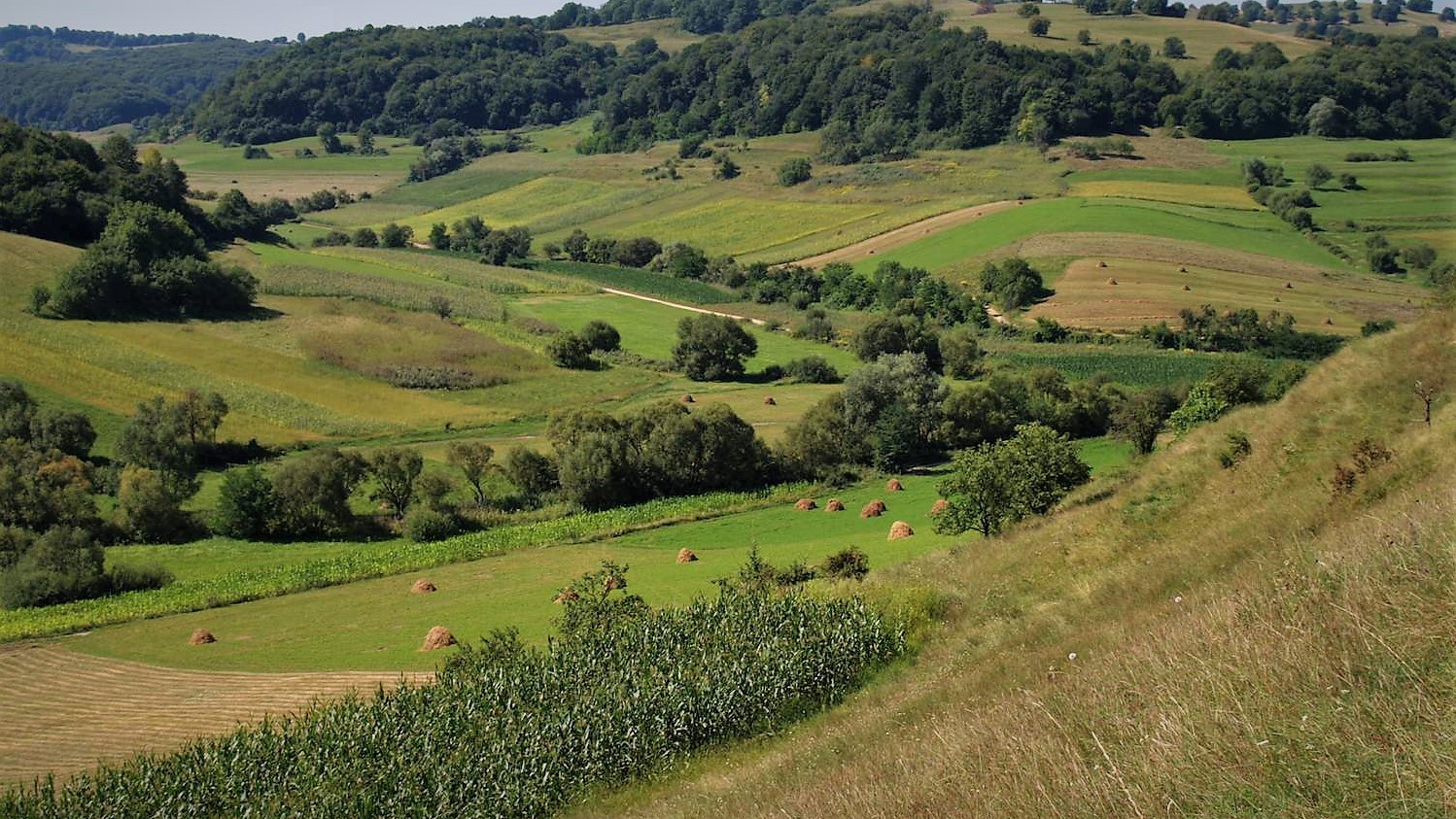 En landbrugsmark med mosaikker af naturtiltag