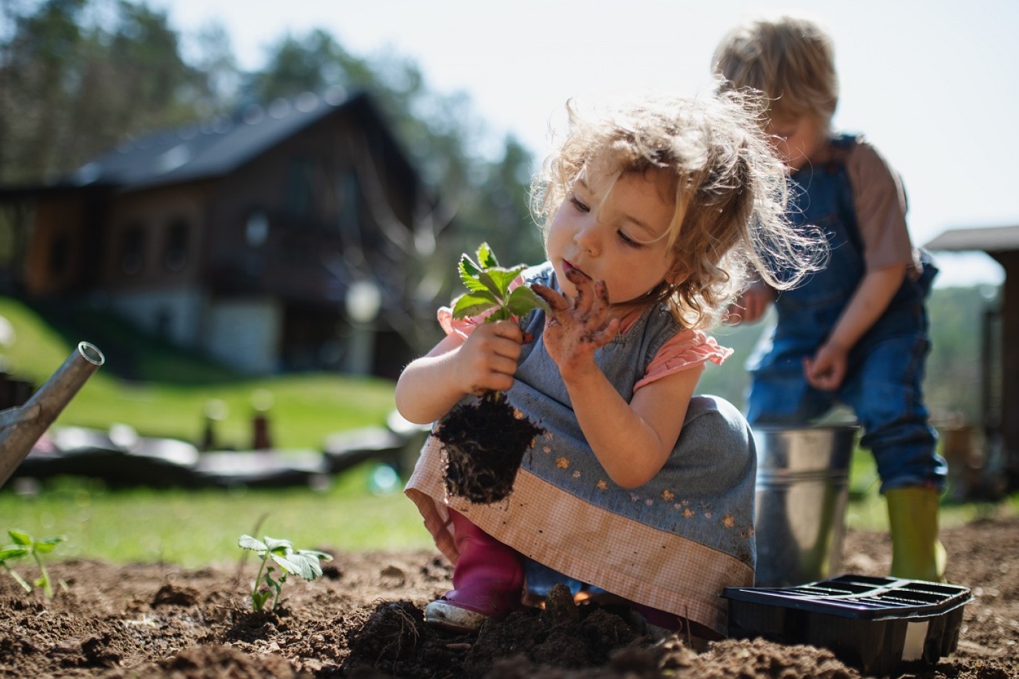 Børn er ved at sætte planter i jorden