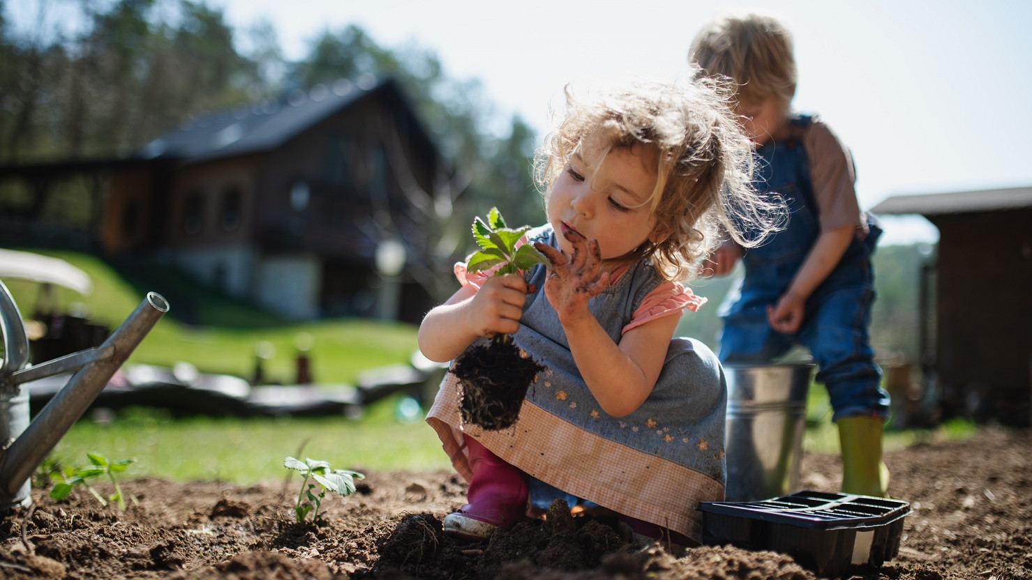 Børn er ved at sætte planter i jorden