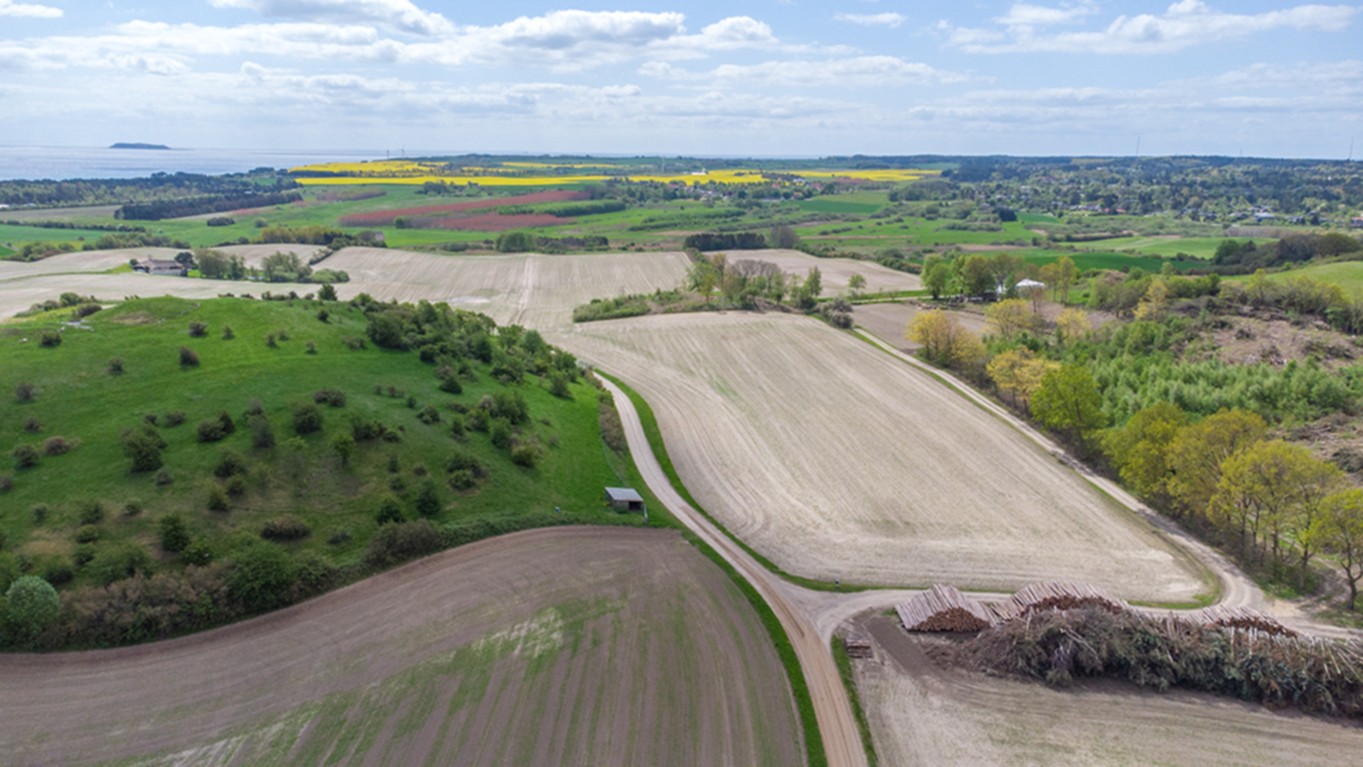 Det er et koldt forår, og fra luften stadig kan man den 20. maj stadig kun skimte bælgplanterne på Djursland