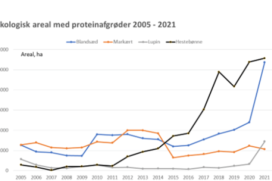 Økologisk areal med proteinafgrøder 2005 - 2021