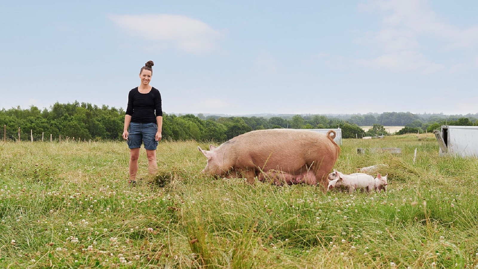 Helle Friis Buhl står med so og grise foran grisehytte