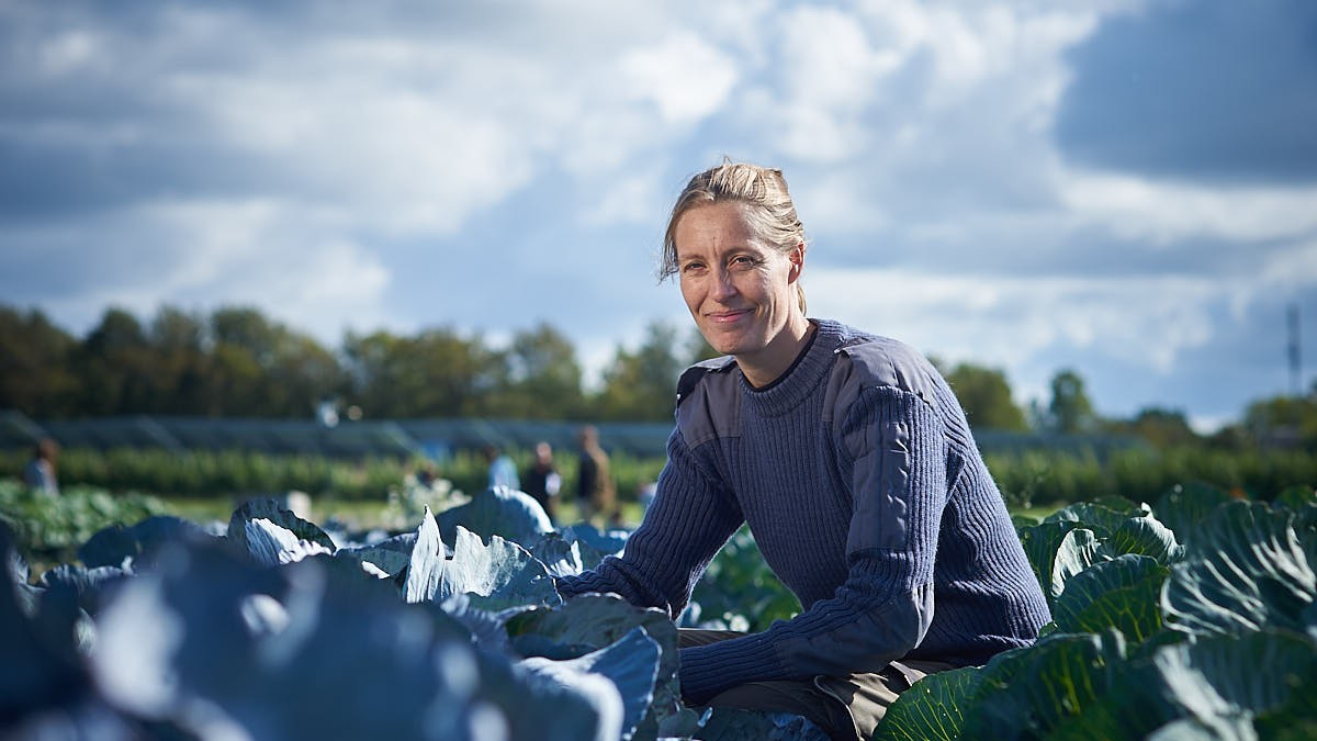 Helene Hansen sidder i en kålmark