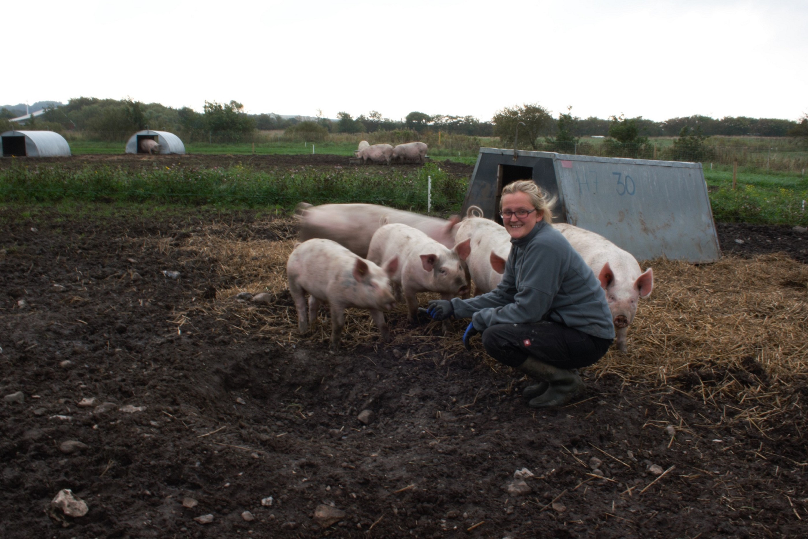 Trine Sund Kammersgaard med grise