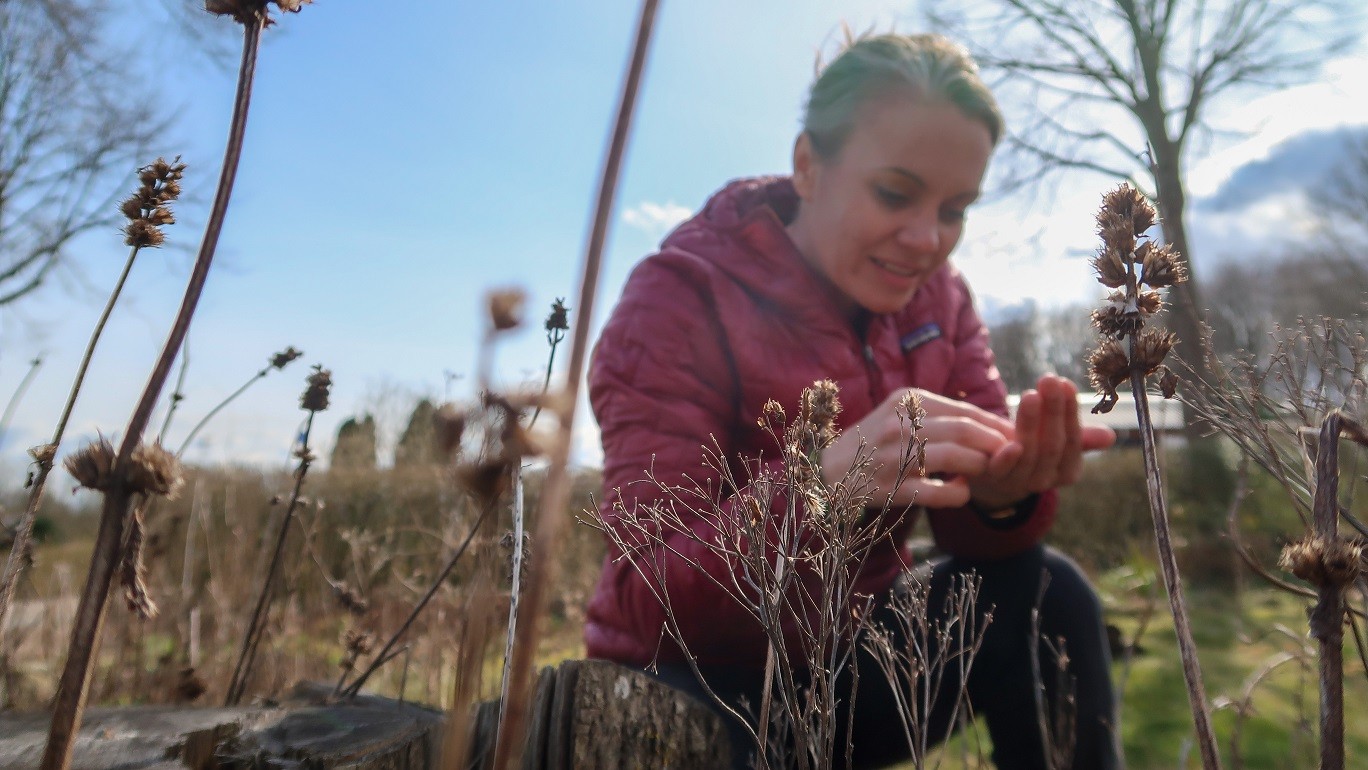 Ud over at have medvirket i DR’s naturhaveserie arbejder Katrine Turner med bynatur og landskabsdesign i virksomheden Vildskab. Det er et konsulentfirma, der ”arbejder for mere natur tættere på, i haver, parker, fællesarealer og i vores bevidsthed”