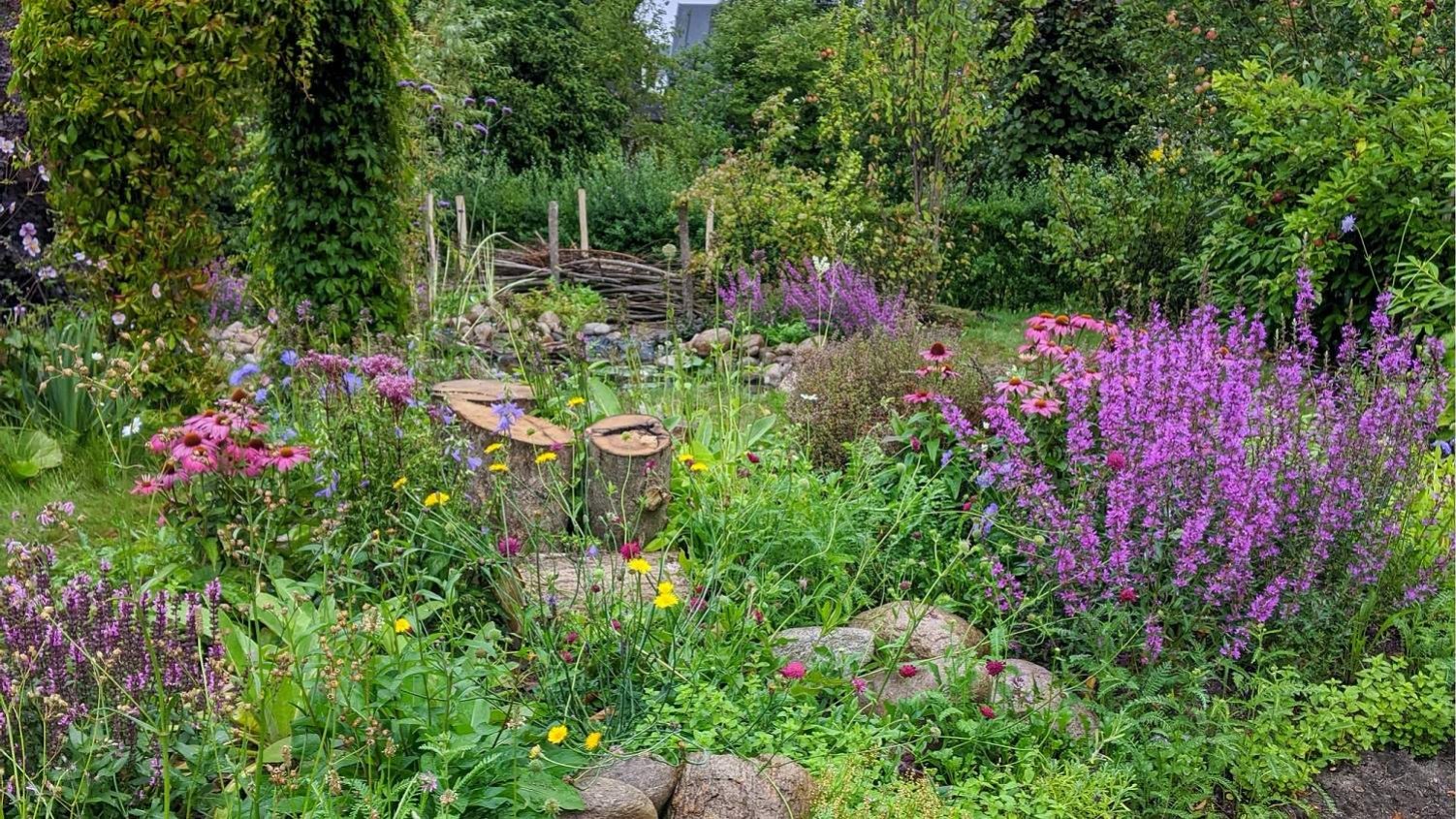 Kvashegn, brændestabler og de hjemmehørende træer, som Katrine Turner har plantet, har lokket flere biarter og småfugle som rødstjert og gærdesmutte til stedet