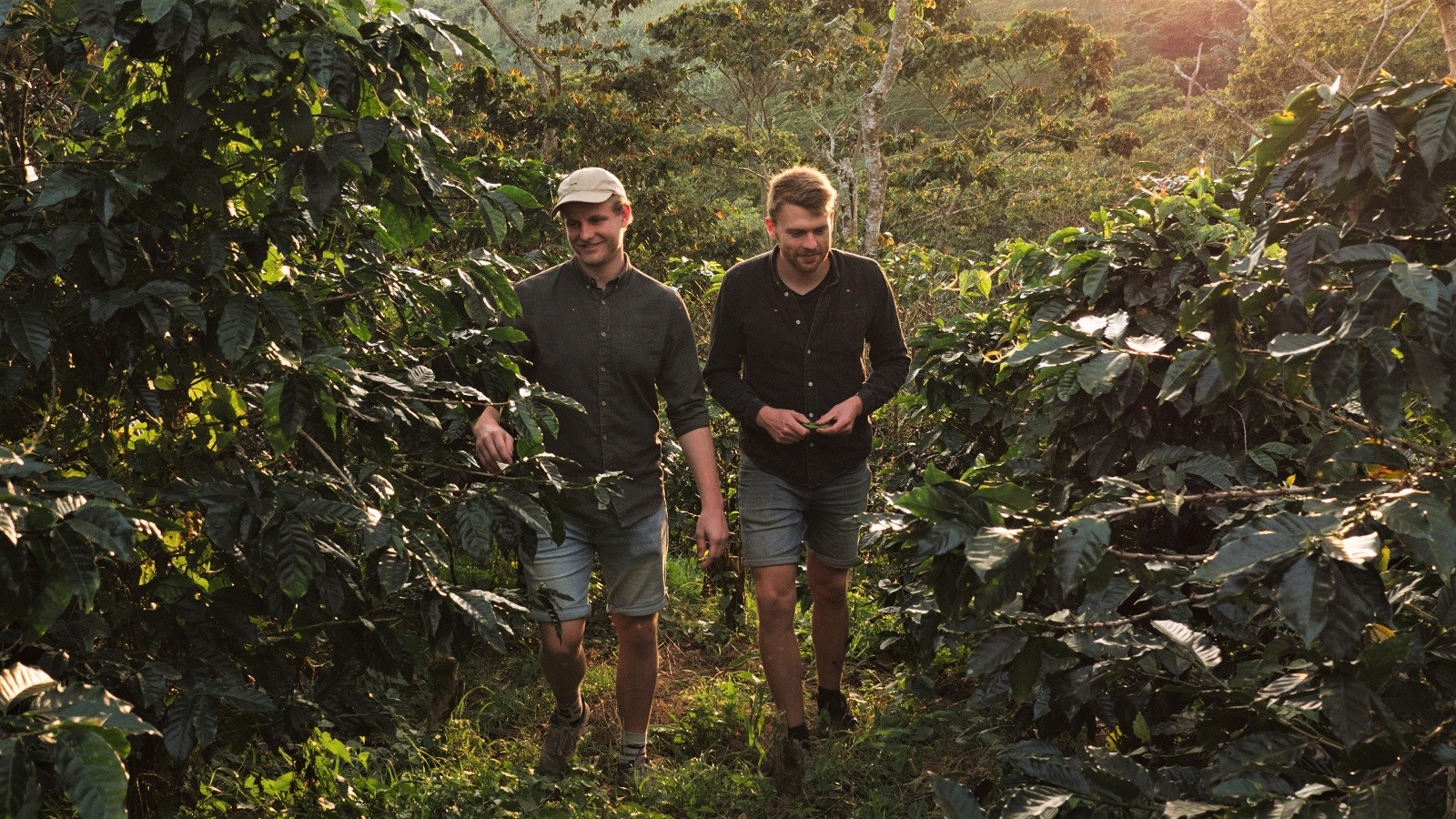 Andreas Kirk og Rasmus Ditlev besøger kaffeplantage.