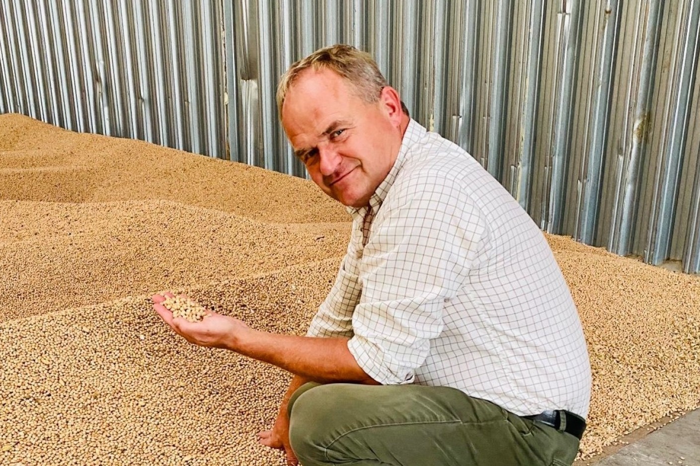 Olav Ditlevsen med nyhøstede kikærter i hånden