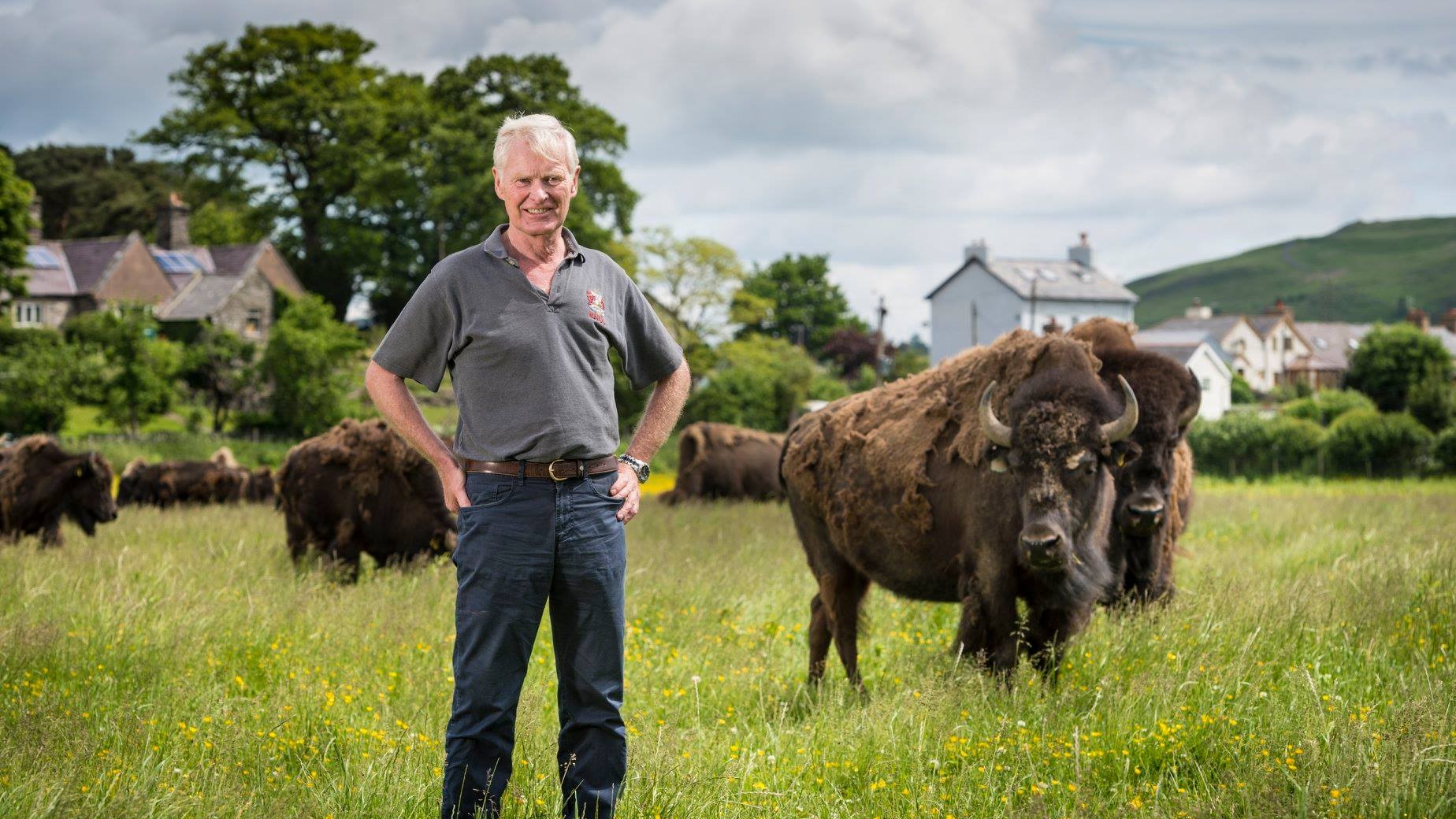 Lord Newborough står på en græsmark foran en flok bisonokser
