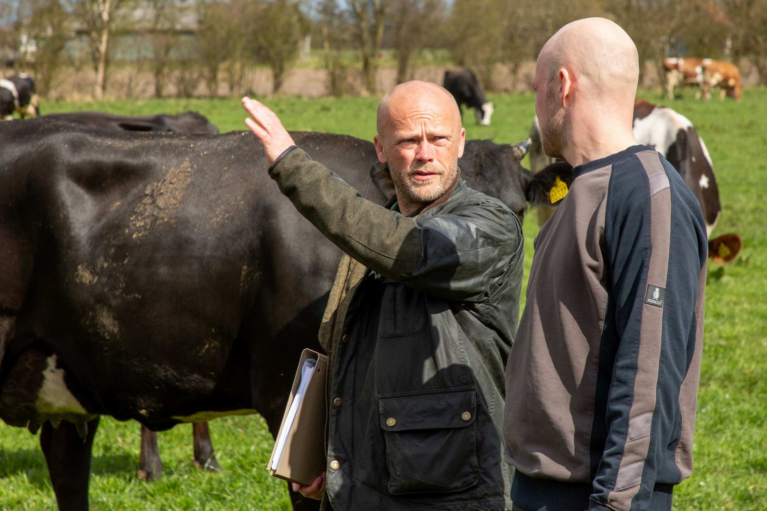 Jens Peter Hermansen står og fortæller noget til en landmand - køer ses i baggrunden