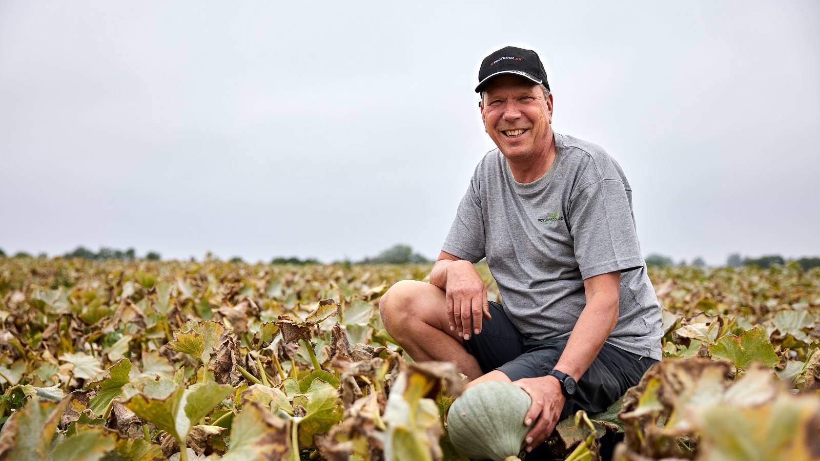 Flere og flere af de smalle produkter på grøntsagshylderne i de danske kæder bliver konverteret til økologi, og i år har Peter Brødsgaard fra Thorsbjerggaard, som er Danmarks største græskarproducent, valgt at omlægge hele produktionen af spisegræskar på 50 ha til økologi.