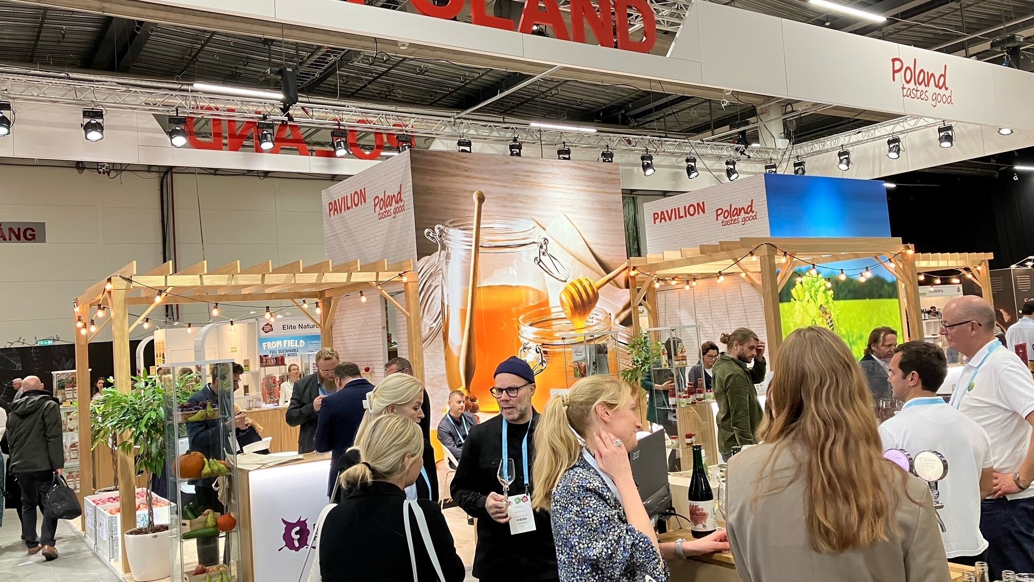 Den polske stand på NOFF