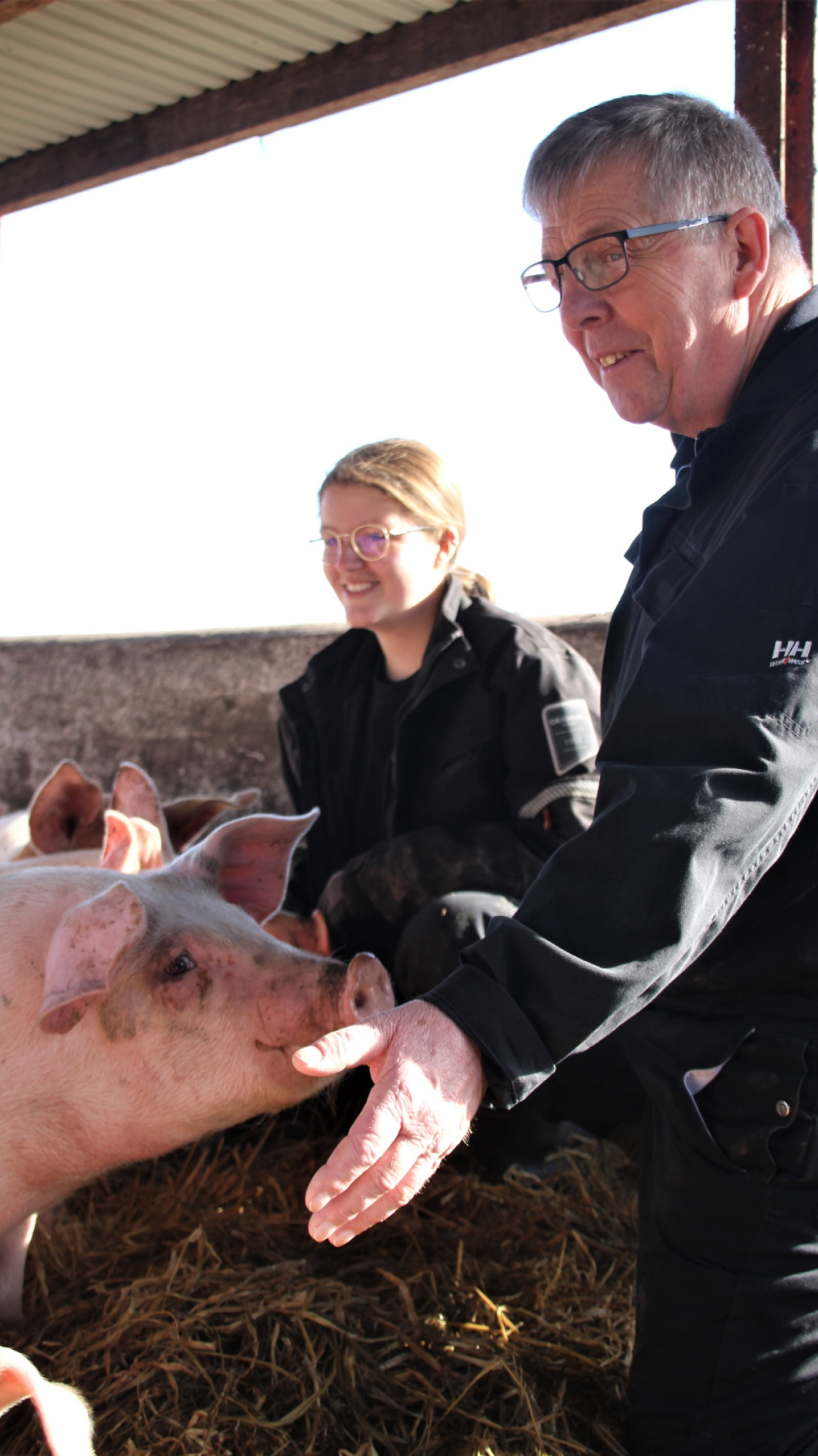 Søren Peter Hansen har arbejdet med grise i mere end 30 år, og har lært at afkode deres adfærd i stalden