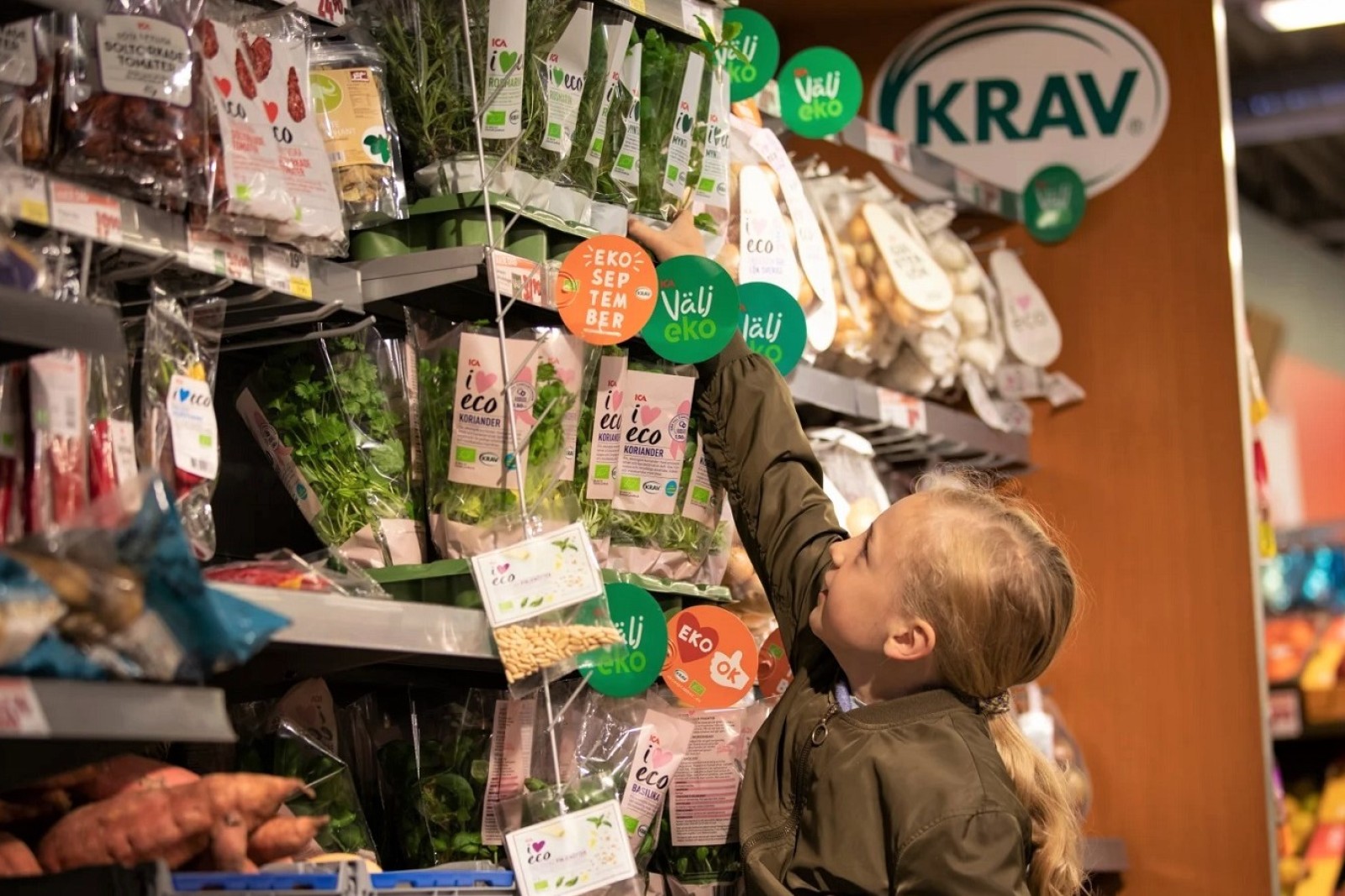 Barn rækker ud efter krydderurter i svensk butik