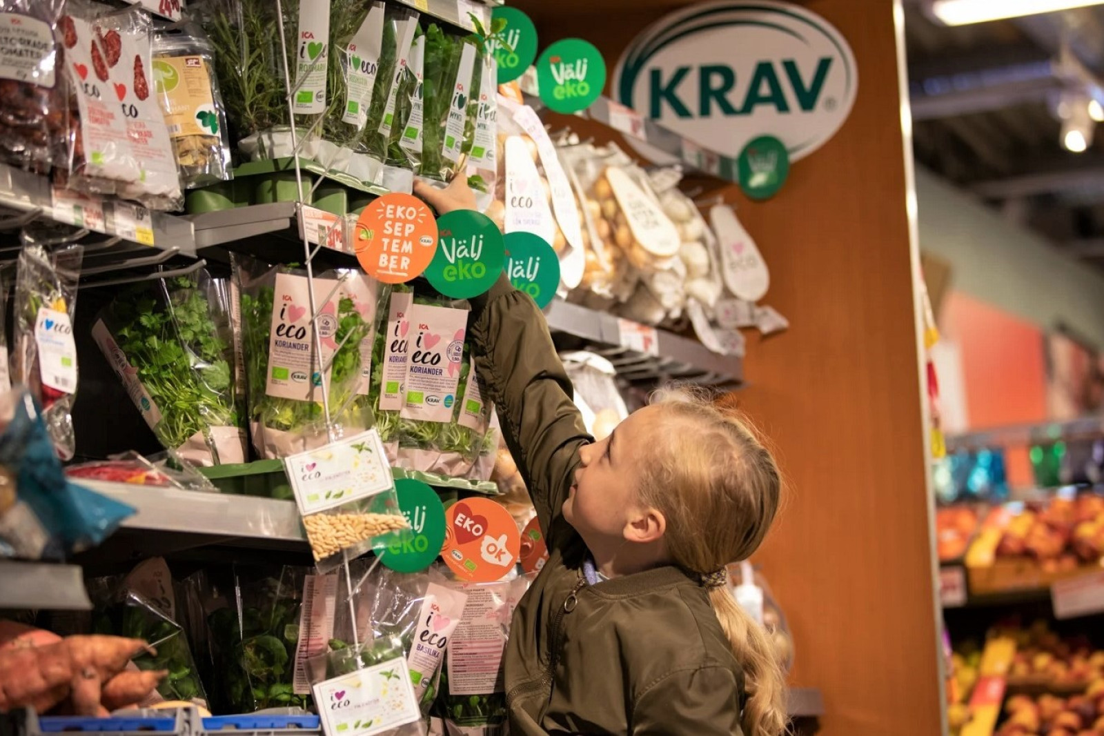 Barn rækker ud efter krydderurter i svensk butik