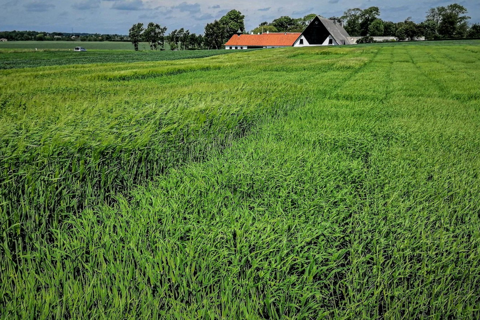 To- og seksradet byg