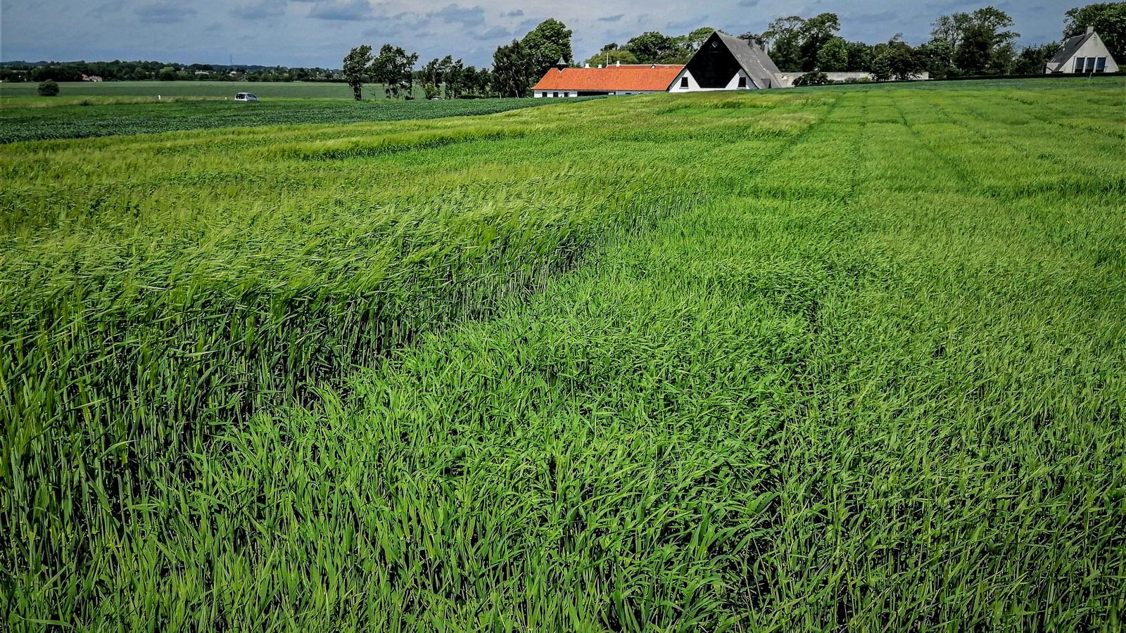 To- og seksradet byg
