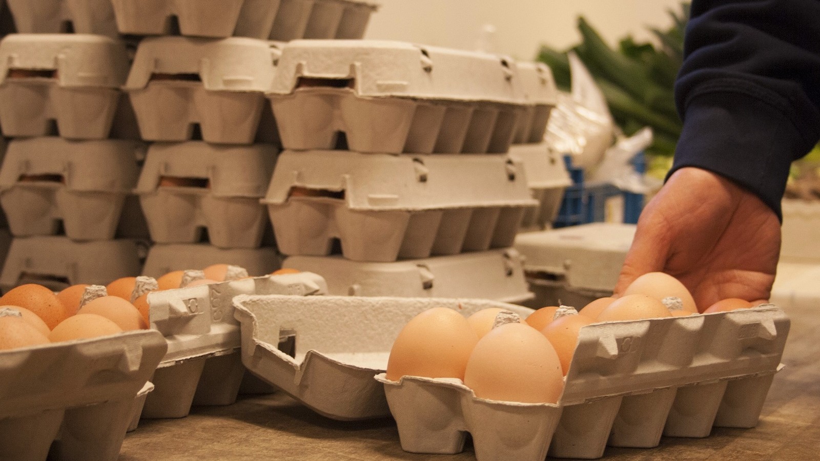 Æggebakker på bord