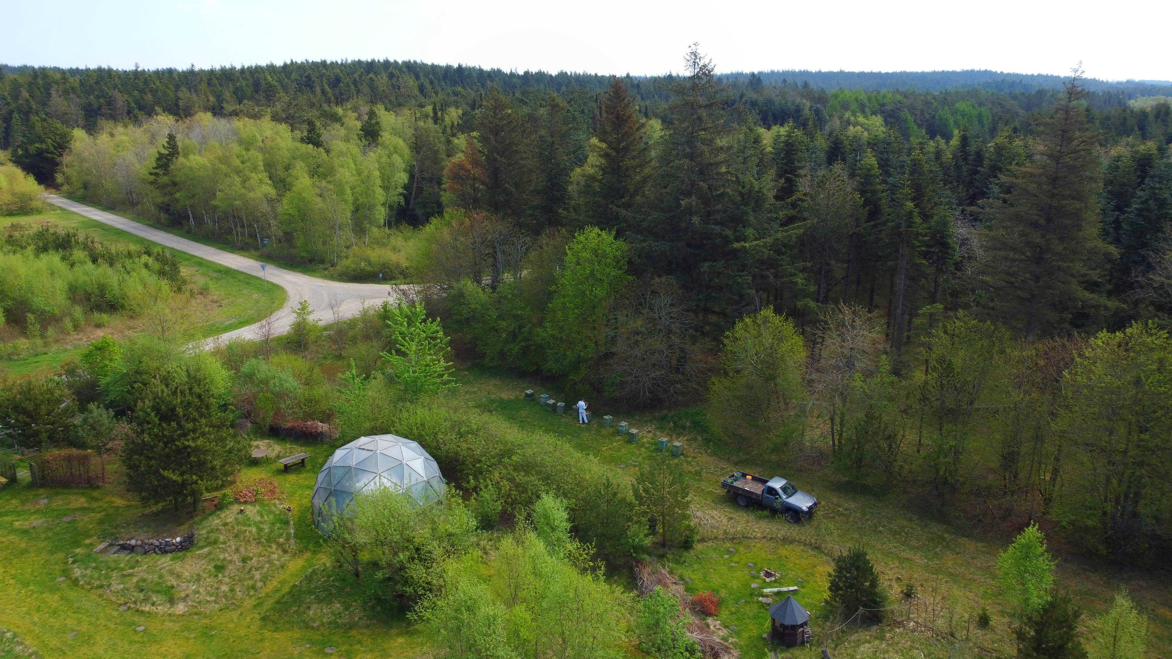 Mathias Hvam har flyttet sine økologiske bistader fem meter uden for det område, der i dag er Stråsø Naturnationalpark, fordi der kun må være vilde bier i parken