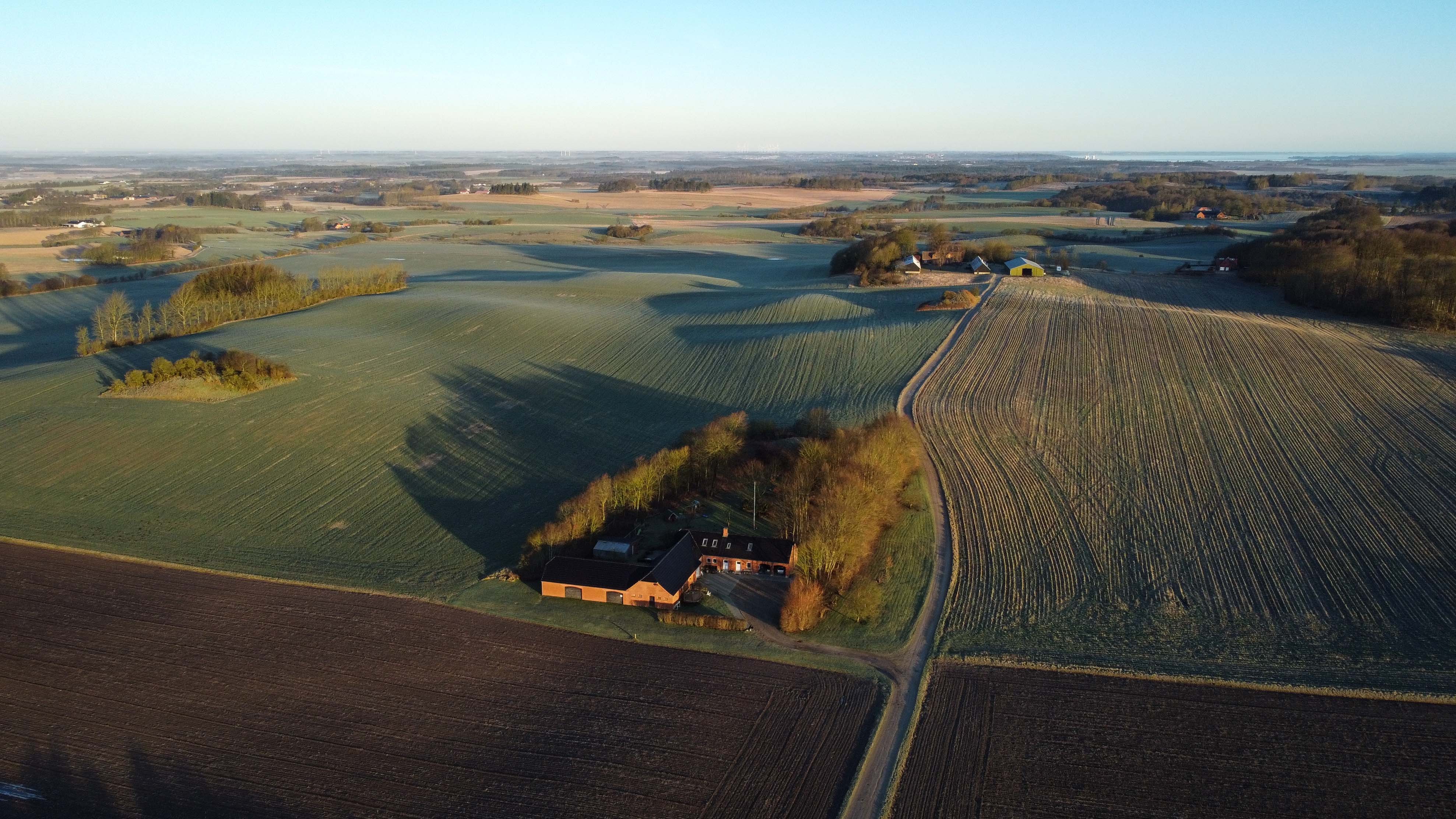 Biodiversiteten presset i agerlandet
