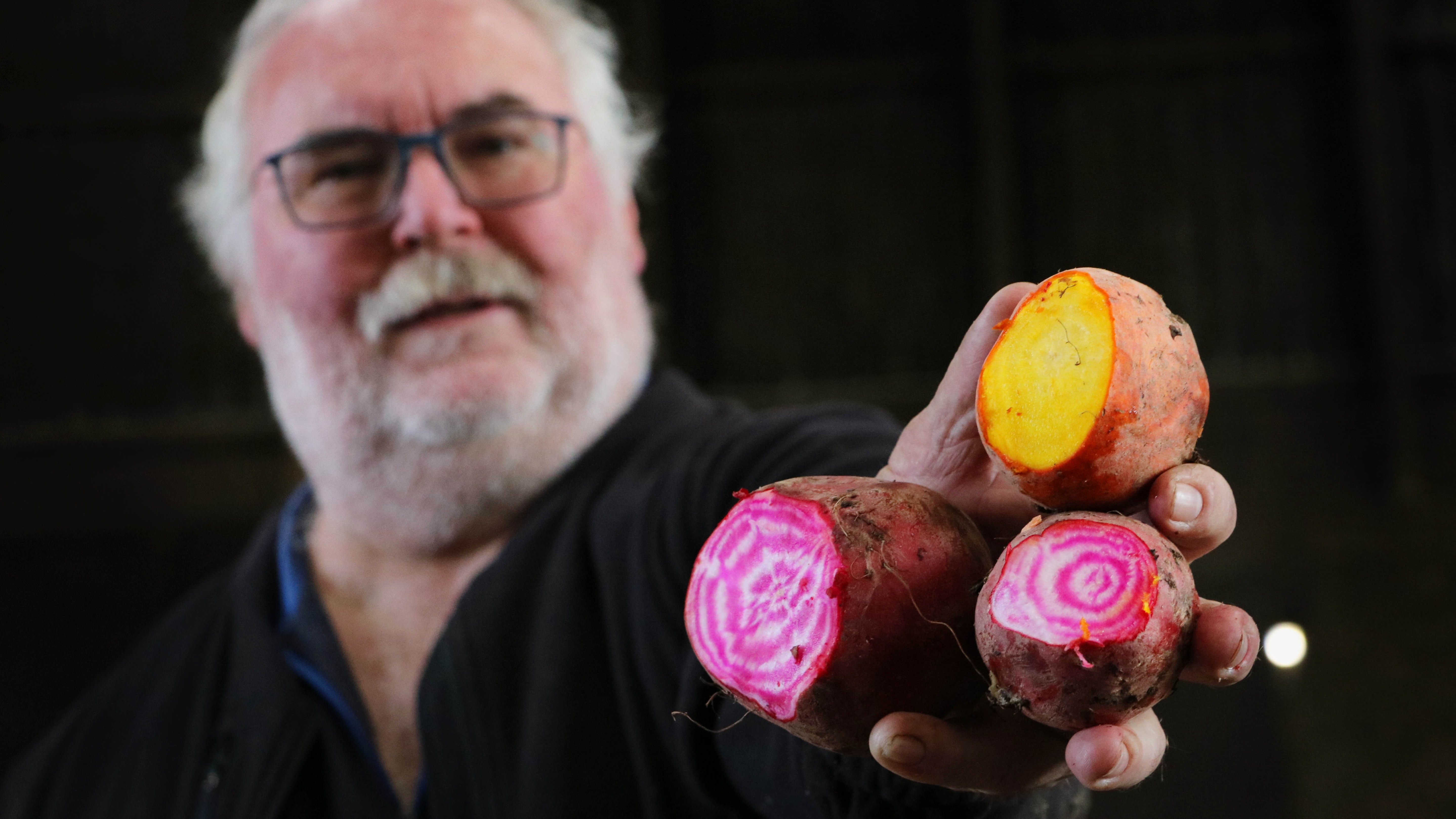 I stedet for at gå til spilde eller ende som biogas, giver årstidens rodfrugter køerne varieret kost