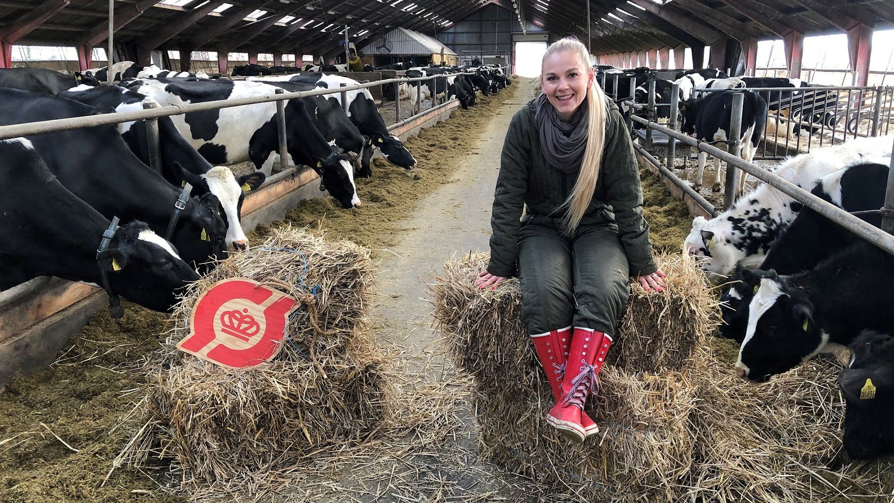 Mille Gori sider på halmballer i en kostald