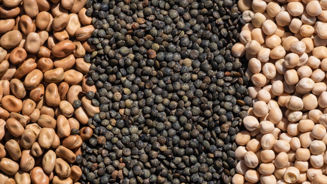 Tørrede hestebønner, linser og ærter fra Pure Dansk