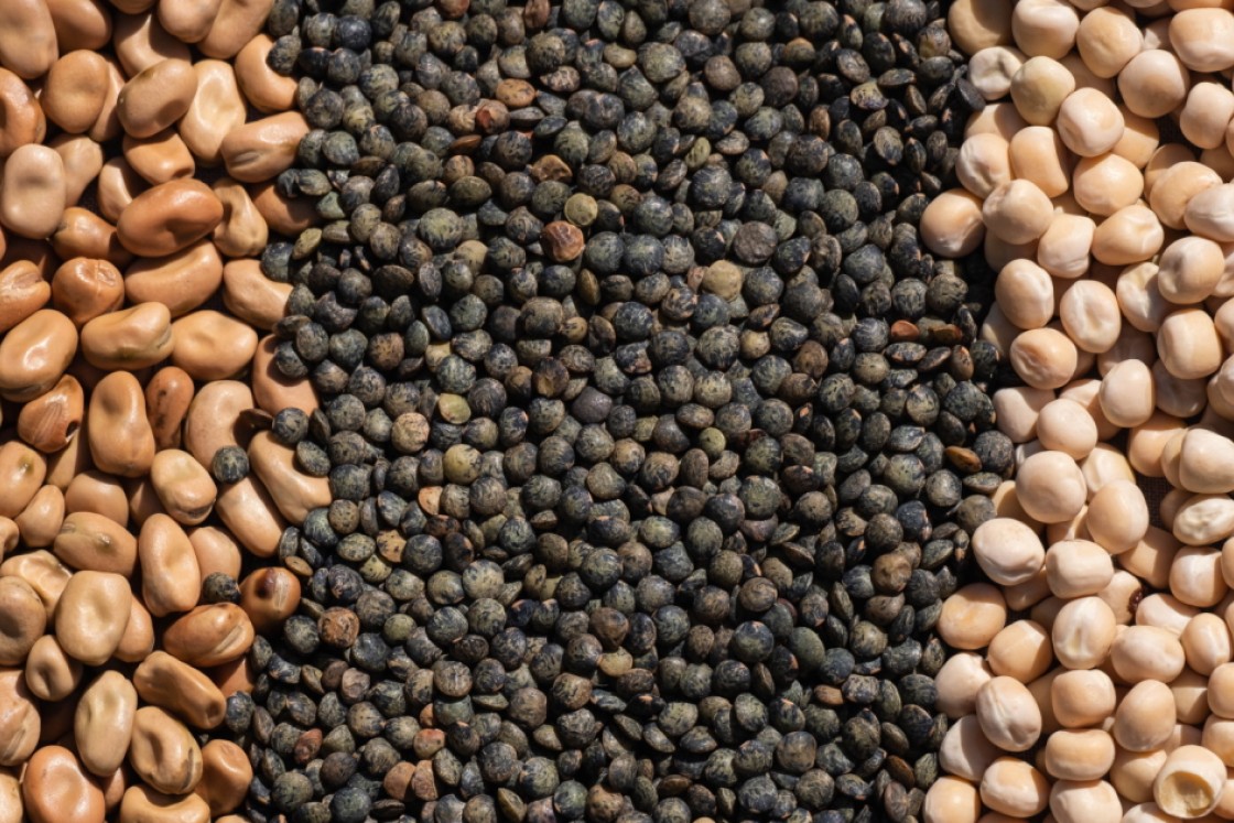 Tørrede hestebønner, linser og ærter fra Pure Dansk