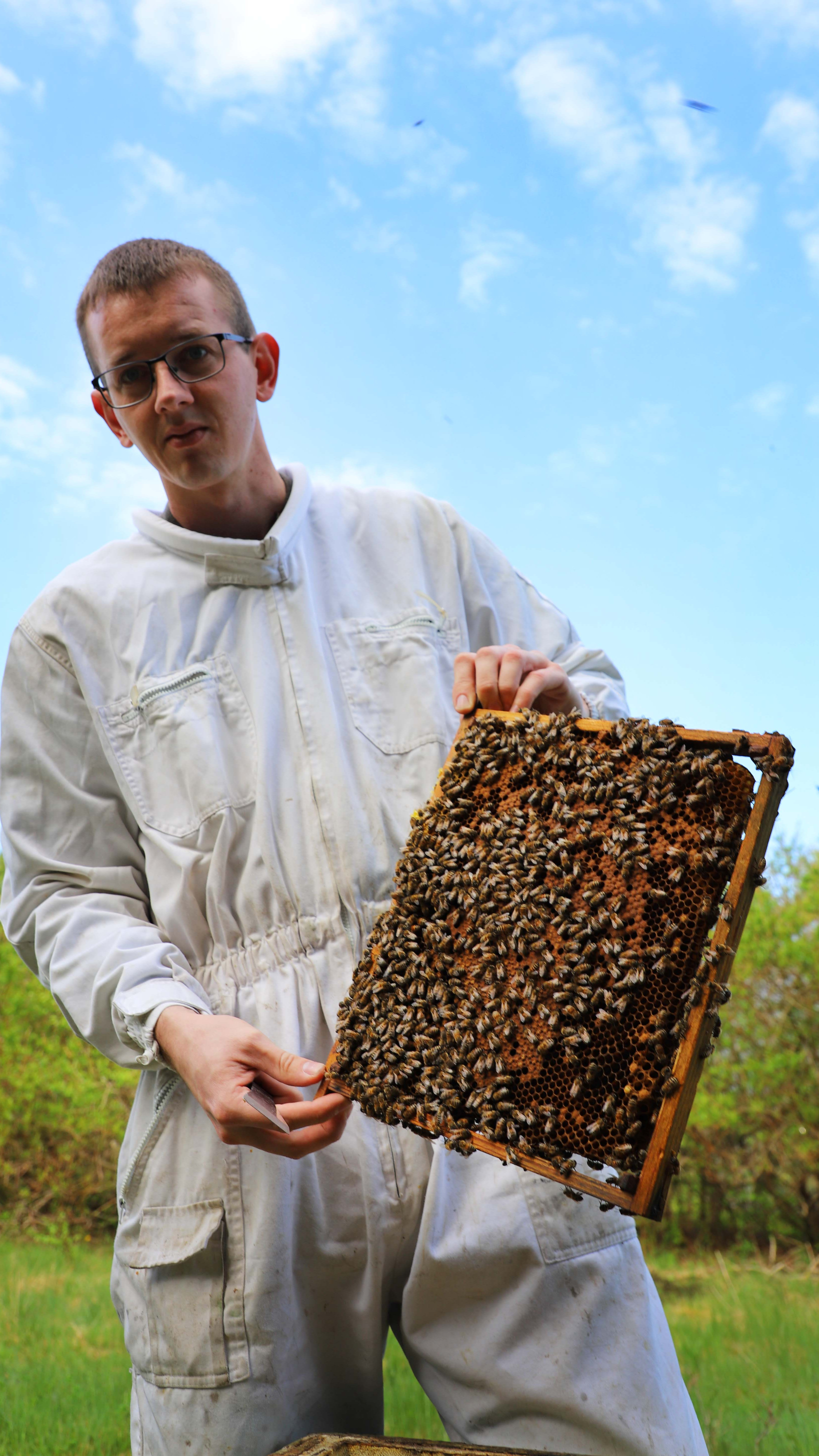 Økologisk honningproducent Mathias Hvam oplever ofte at være skydeskive i en usaglig diskussion for eller imod honningbier. Derfor glæder han sig til, at der nu bliver lavet videnskabelige fakta