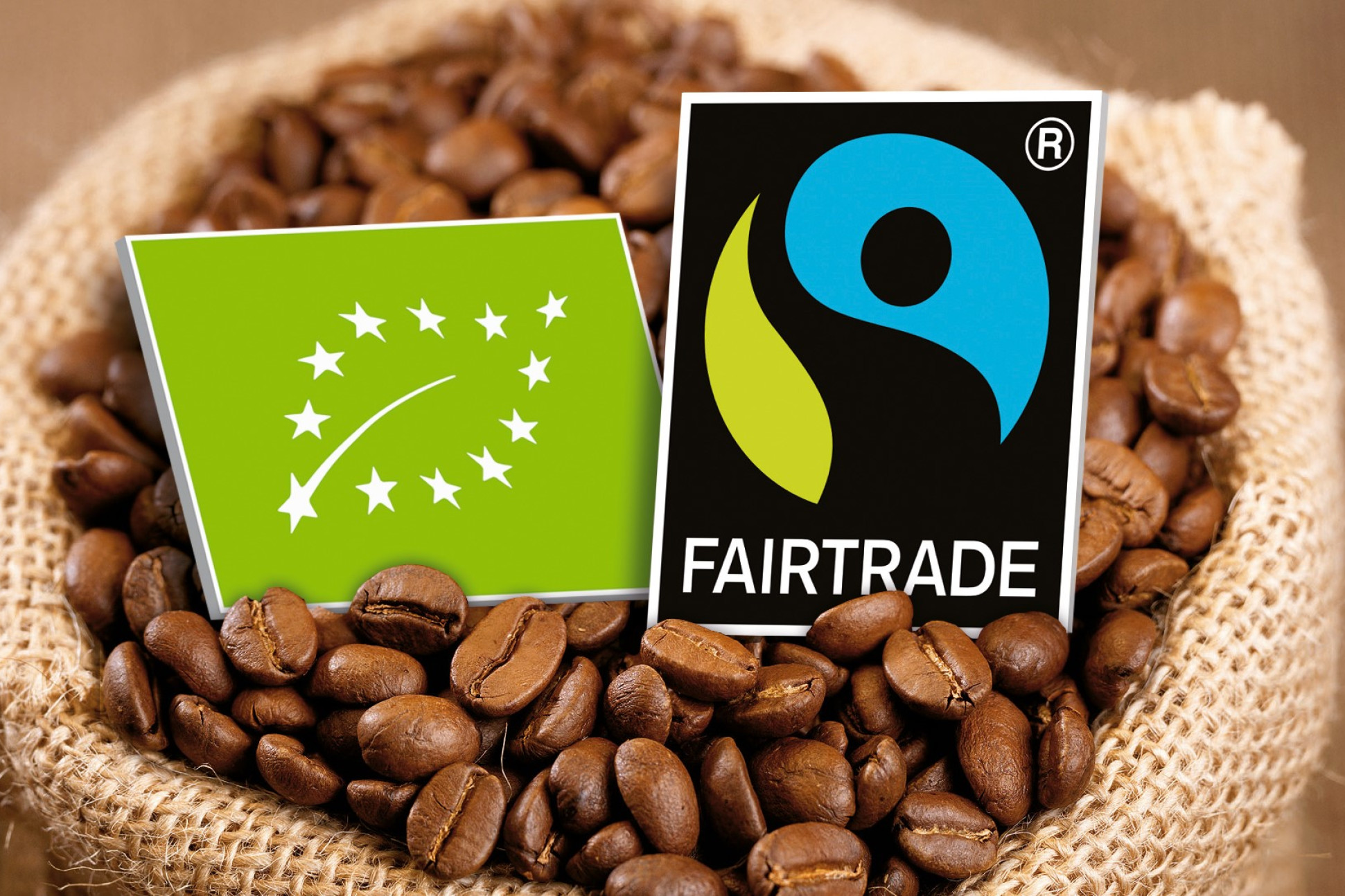Fairtrade- og økologimærket ligger oven på en bunke kaffebønner