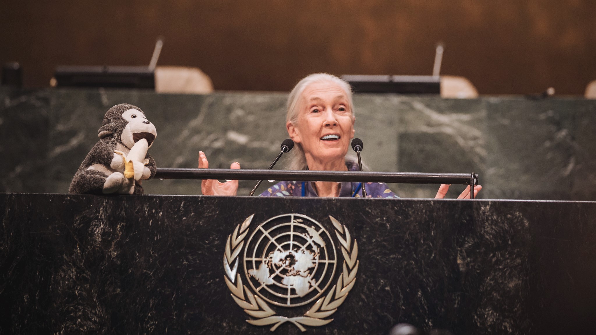 Jane Goodall står på talerstolen og taler for FN-forsamlingen