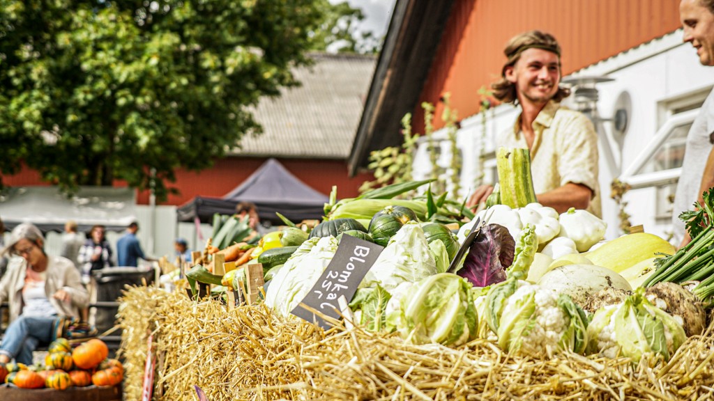 Udvalget af kål er stort i denne tid. Gårdbutikken sælger både spidskål, blomkål, grønkål og rødkål. Der er også økologiske rodfrugter, løg, porrer og kød
