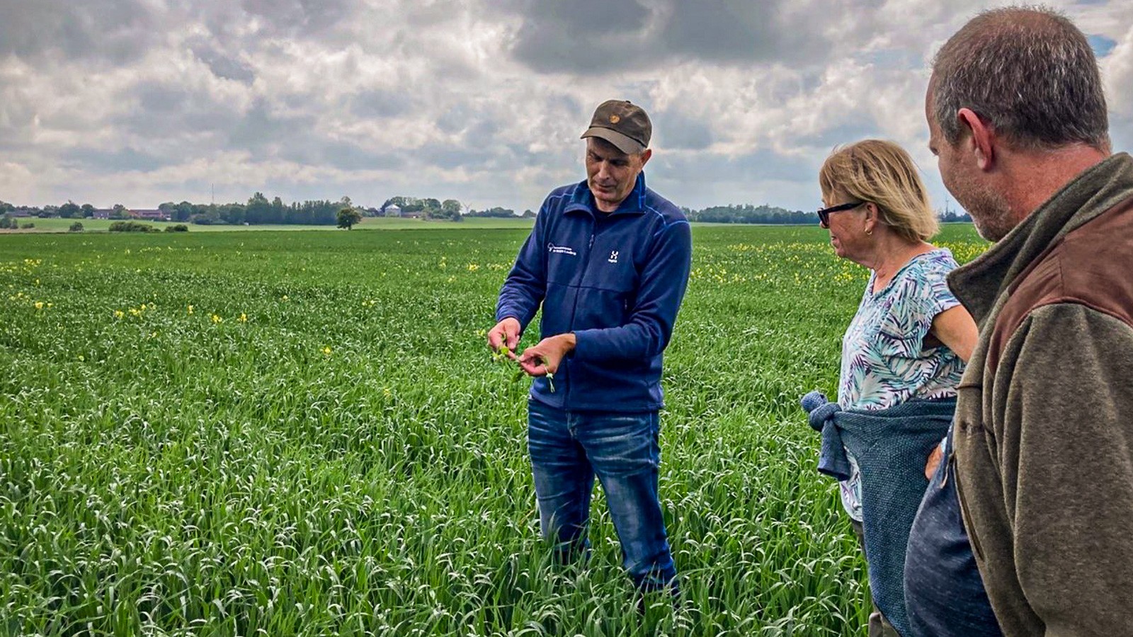 Bent Rasmussen står med en plante i hånden på en mark