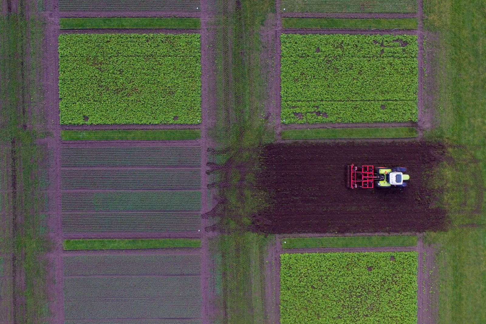 Luftfoto af en traktor, der kører på marken