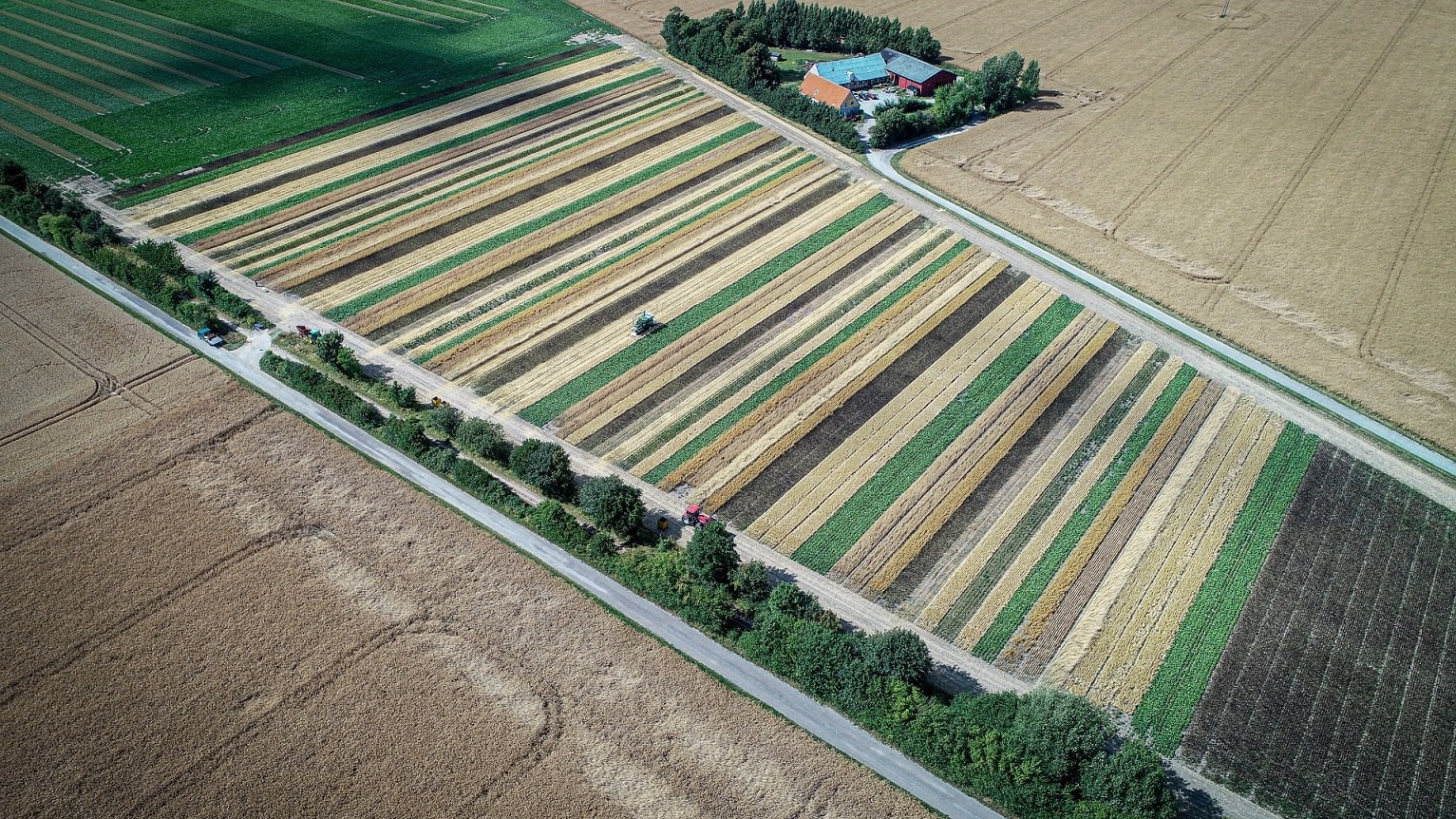 Dronebillede af stribedyrkede marker