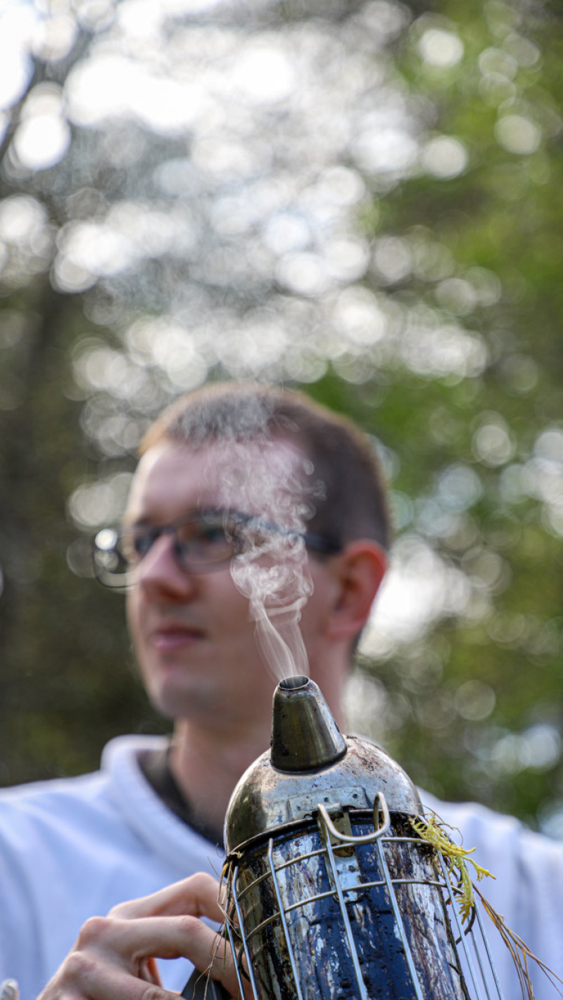 Mathias Hvam bruger røg fra røgpusteren til at sløve bierne, så han kan arbejde med tavlerne med honning uden at blive stukket