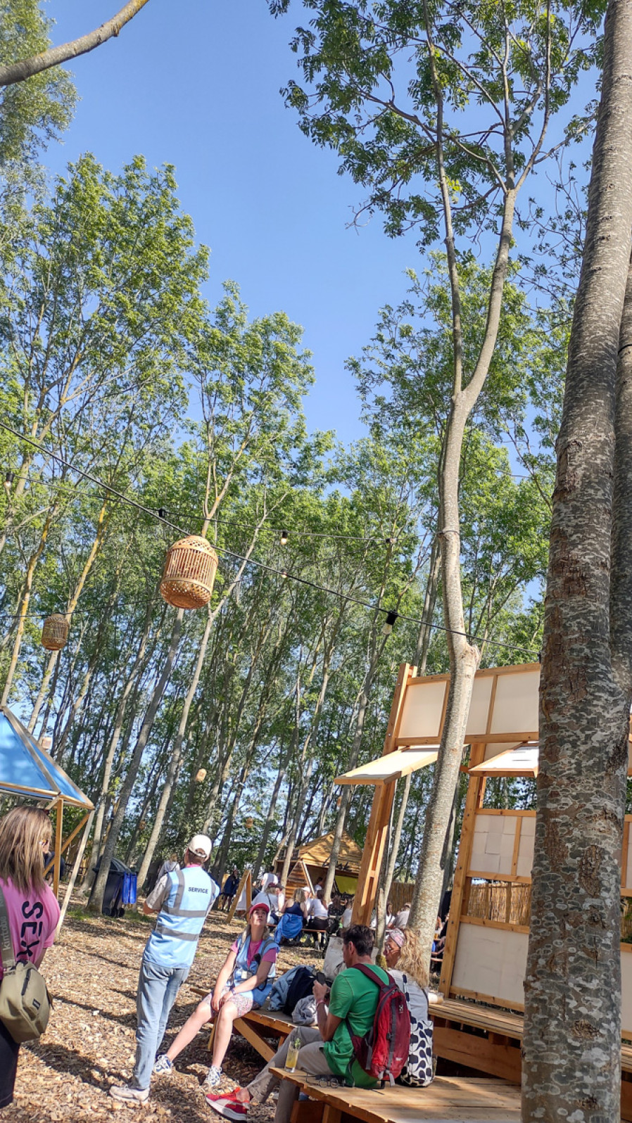Skovbrynet - et hjørne af festivalen - gav lidt ro fra musikken og skygge for solen