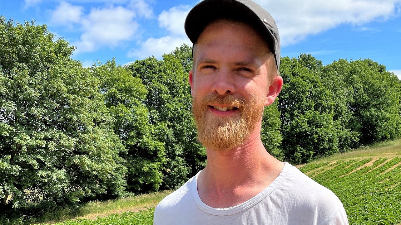Foto af Dennis Weigelt Pedersen i sin jordbærmark