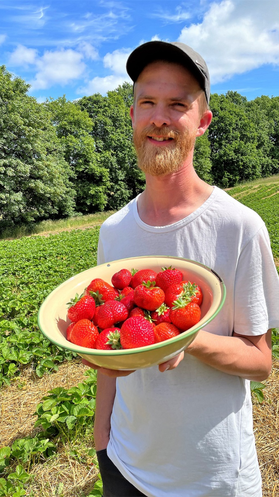 Dennis Weigelt Pedersen og Bodil Richardt oplever, at folk kommer kørende helt fra Aalborg for at få sprøjtefri jordbær, som efterhånden kan være svære at finde i Danmark, da der ikke er mange økologiske avlere
