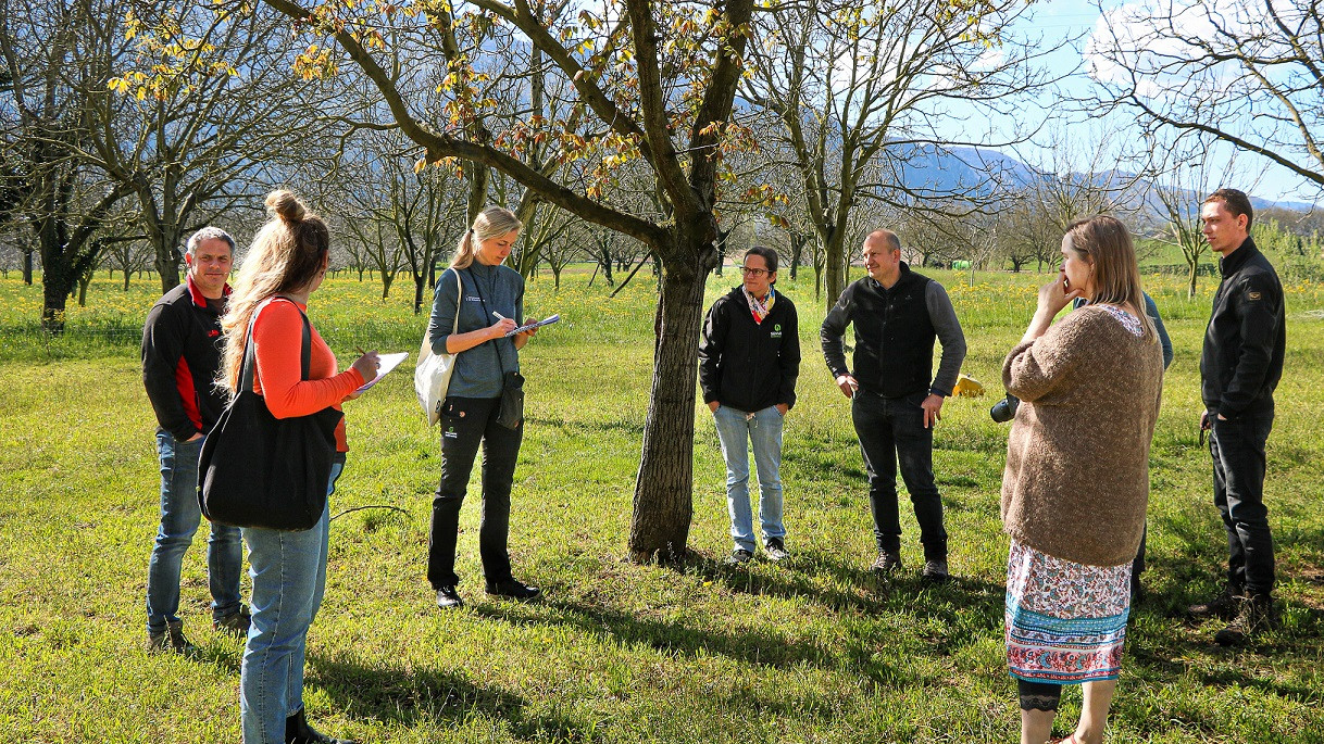Innovationscenter for Økologisk Landbrug besøgte i april avlere i Grenoble for at lære om økologisk dyrkning af valnødder