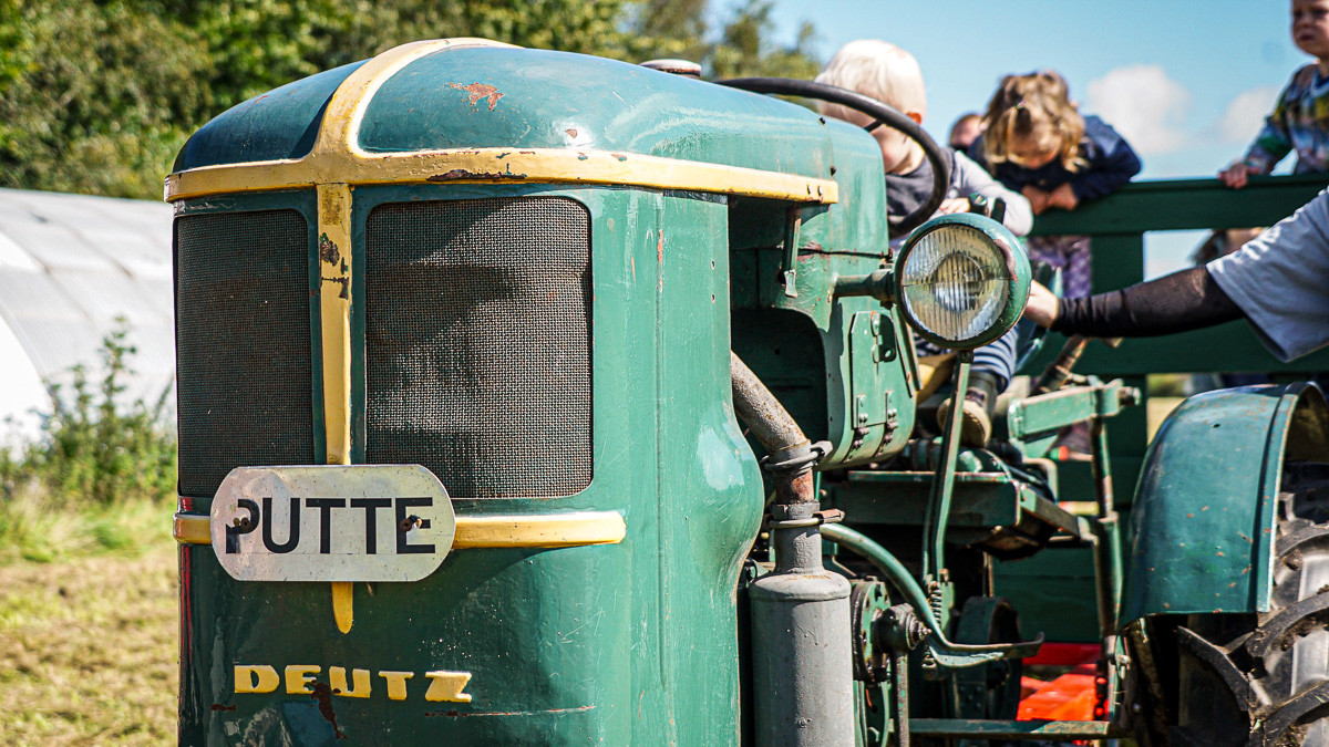 Den gamle traktor Putte blev brugt flittigt til at køre rundt med gæsterne på markerne