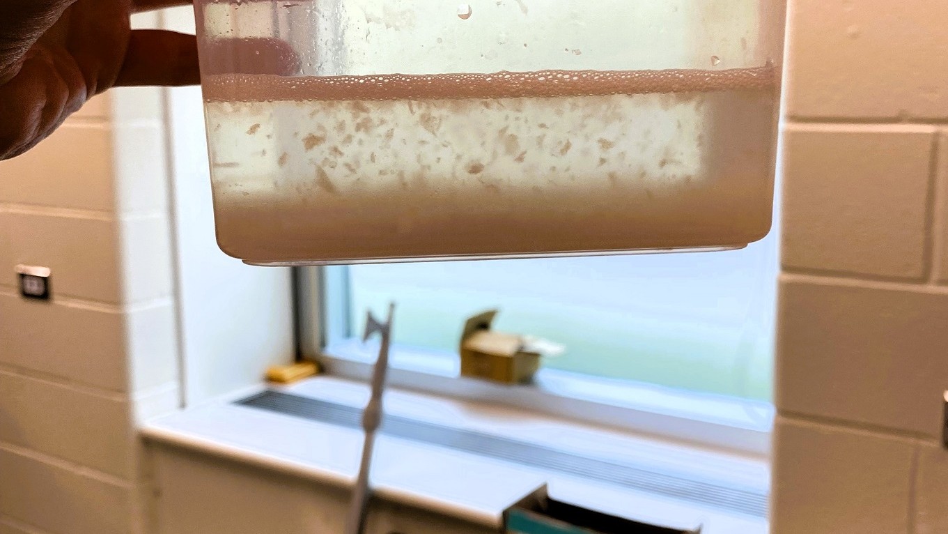 Det er ikke realistisk at undgå mikroplast gennem kosten, da plasten findes i dyr både på lands og til vands, viser ny forskning