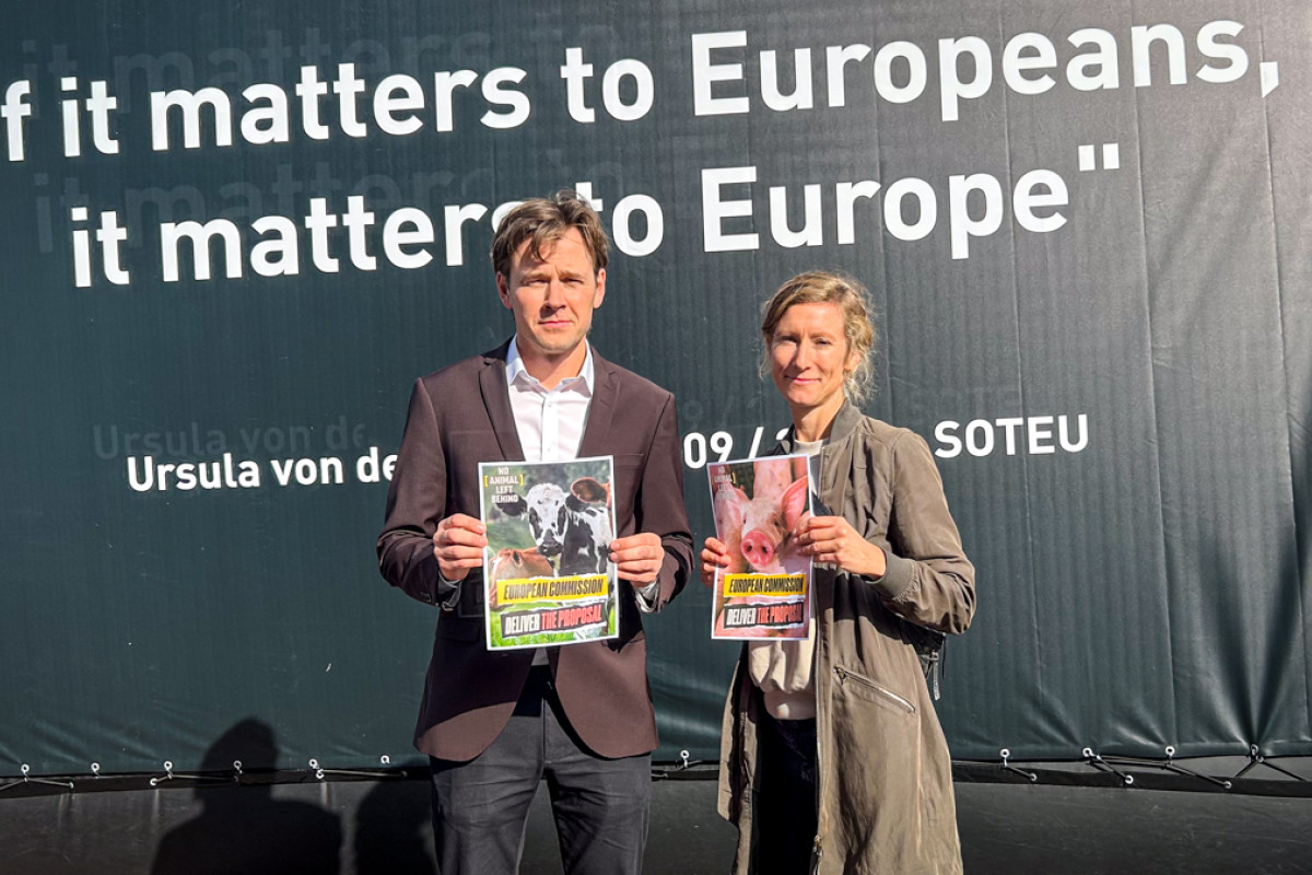 Niels Fuglsang og Sophie Hastrup Christensen, landbrugspolitisk chefkonsulent i Dyrenes Beskyttelse står med kampagnemateriale i hænderne