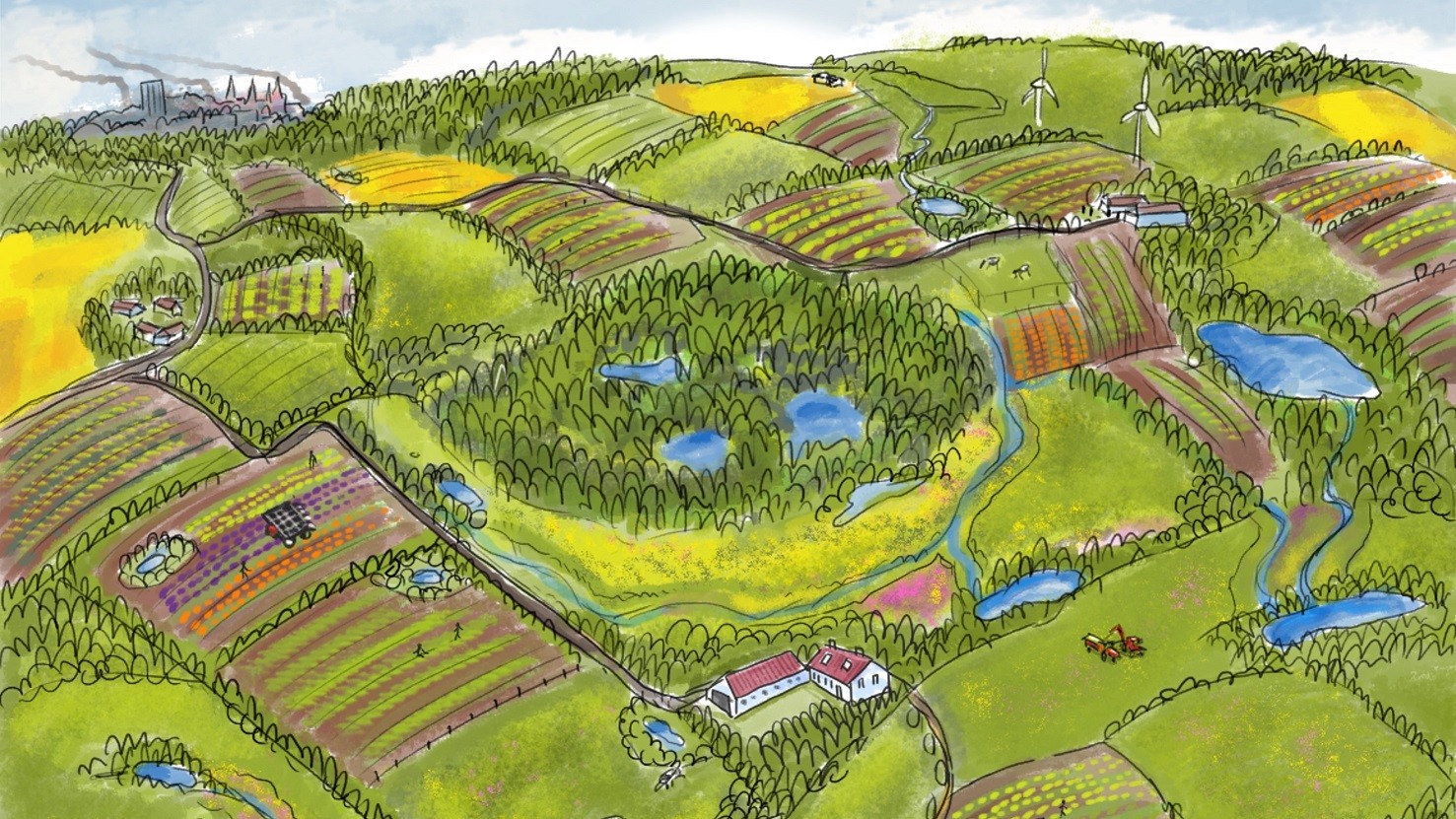 Illustration, der viser et optimalt landbrug, der giver plads til flere arter