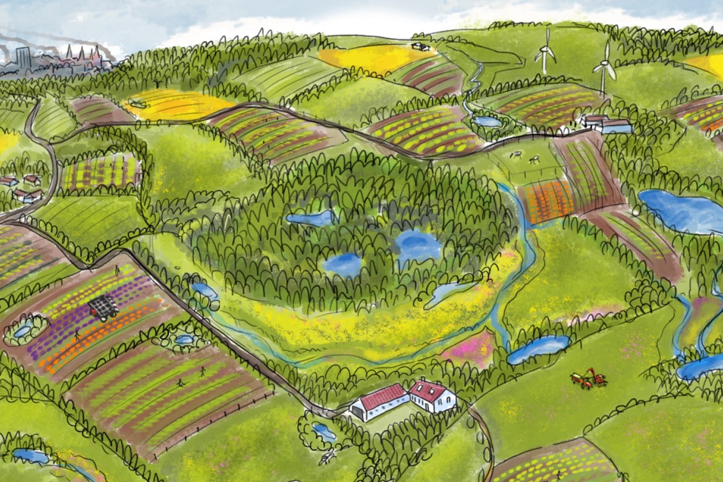 Illustration, der viser et optimalt landbrug, der giver plads til flere arter