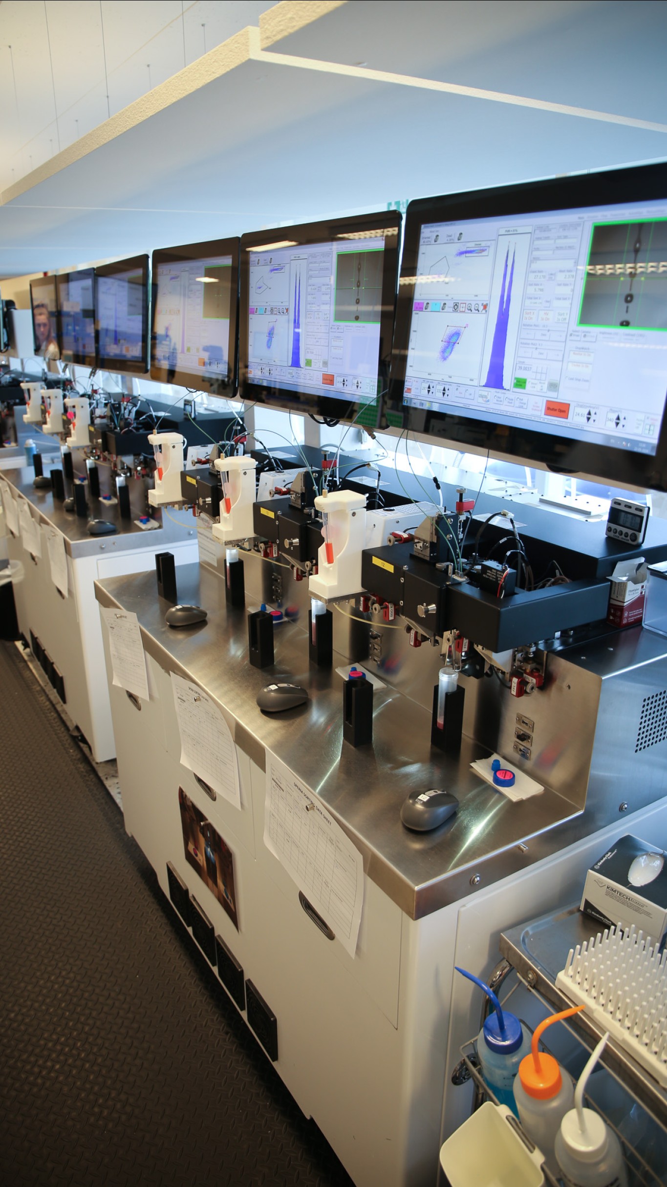 På hver enkel maskine kan bioanalytikerne løbende følge og justere effektiviteten af kønssorteringen via en computerskærm